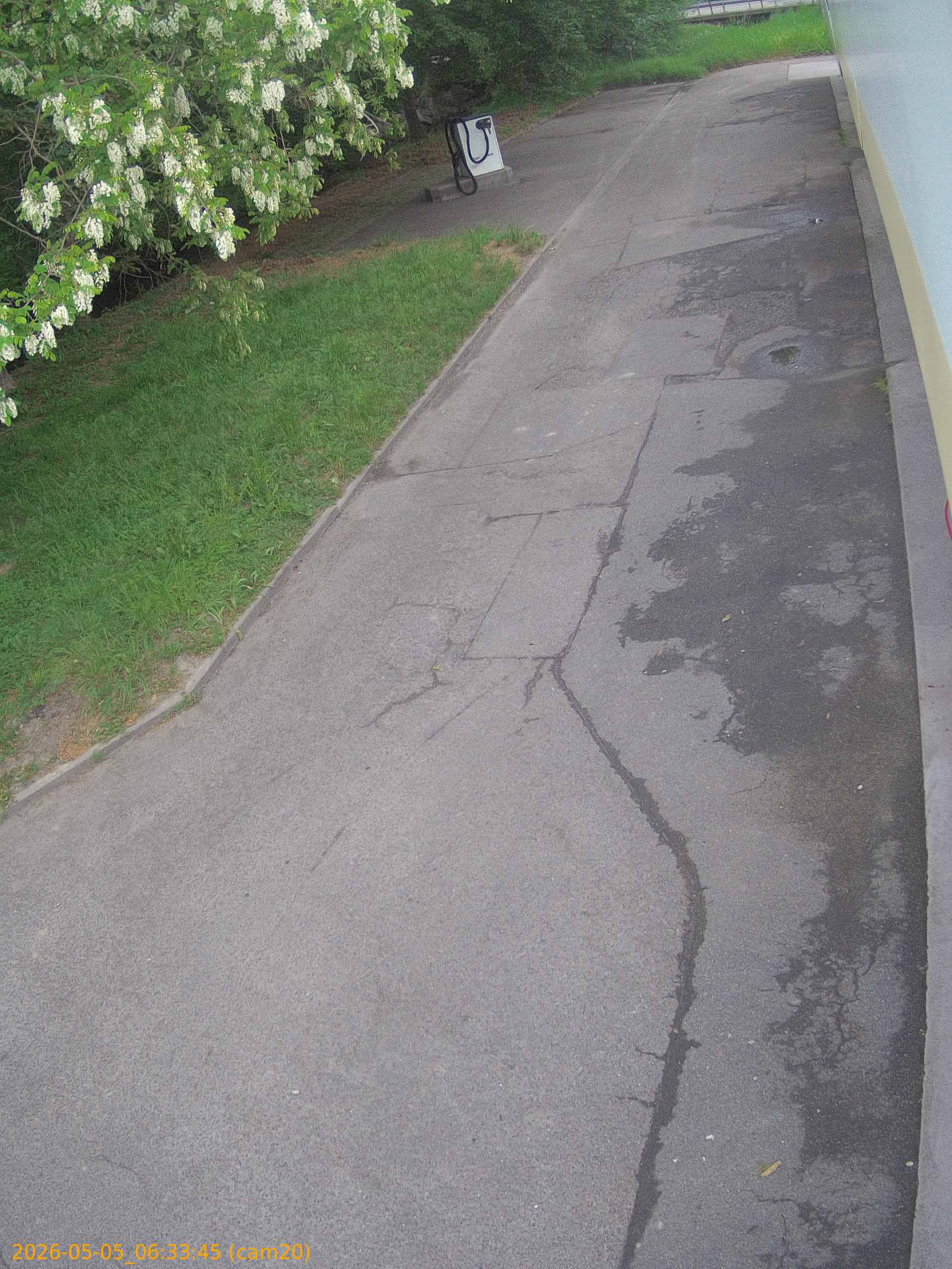 thumbnail_20260505063345