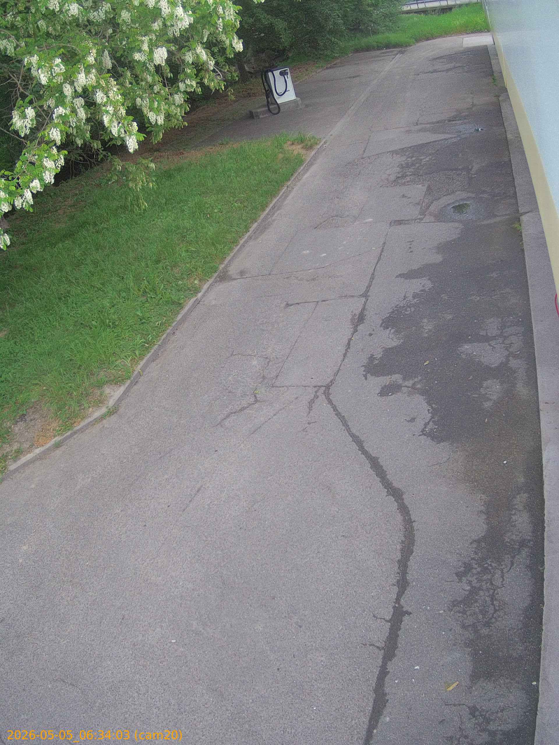 thumbnail_20260505063403