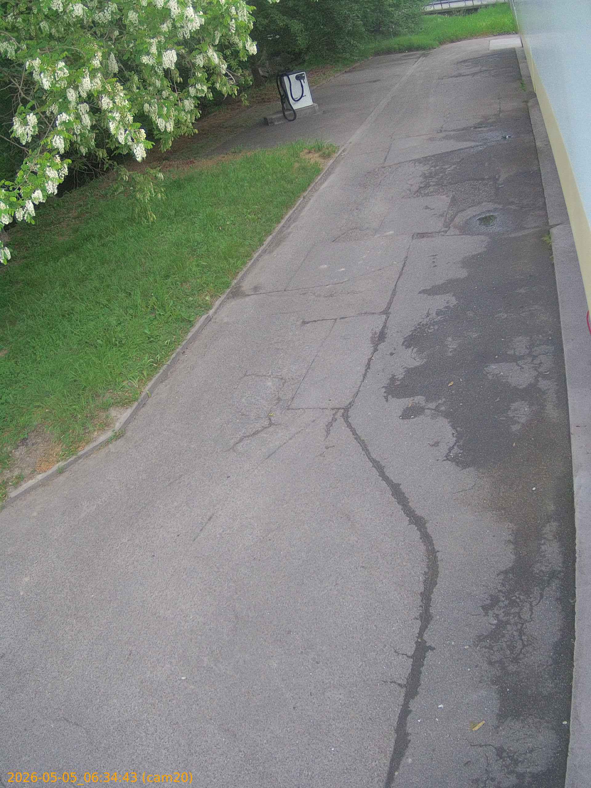 thumbnail_20260505063443
