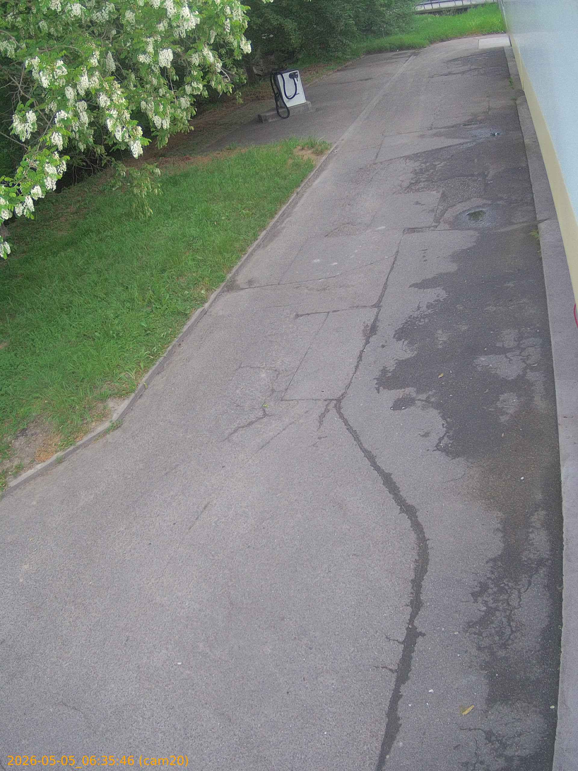 thumbnail_20260505063546