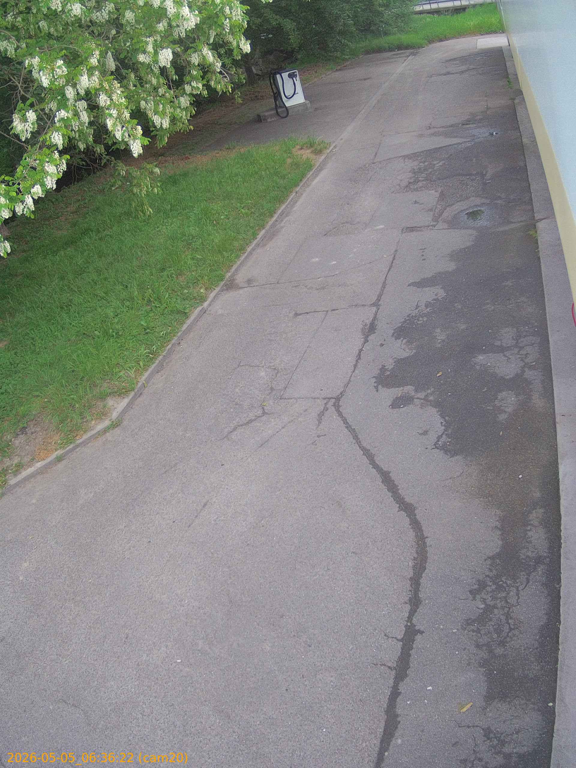 thumbnail_20260505063622