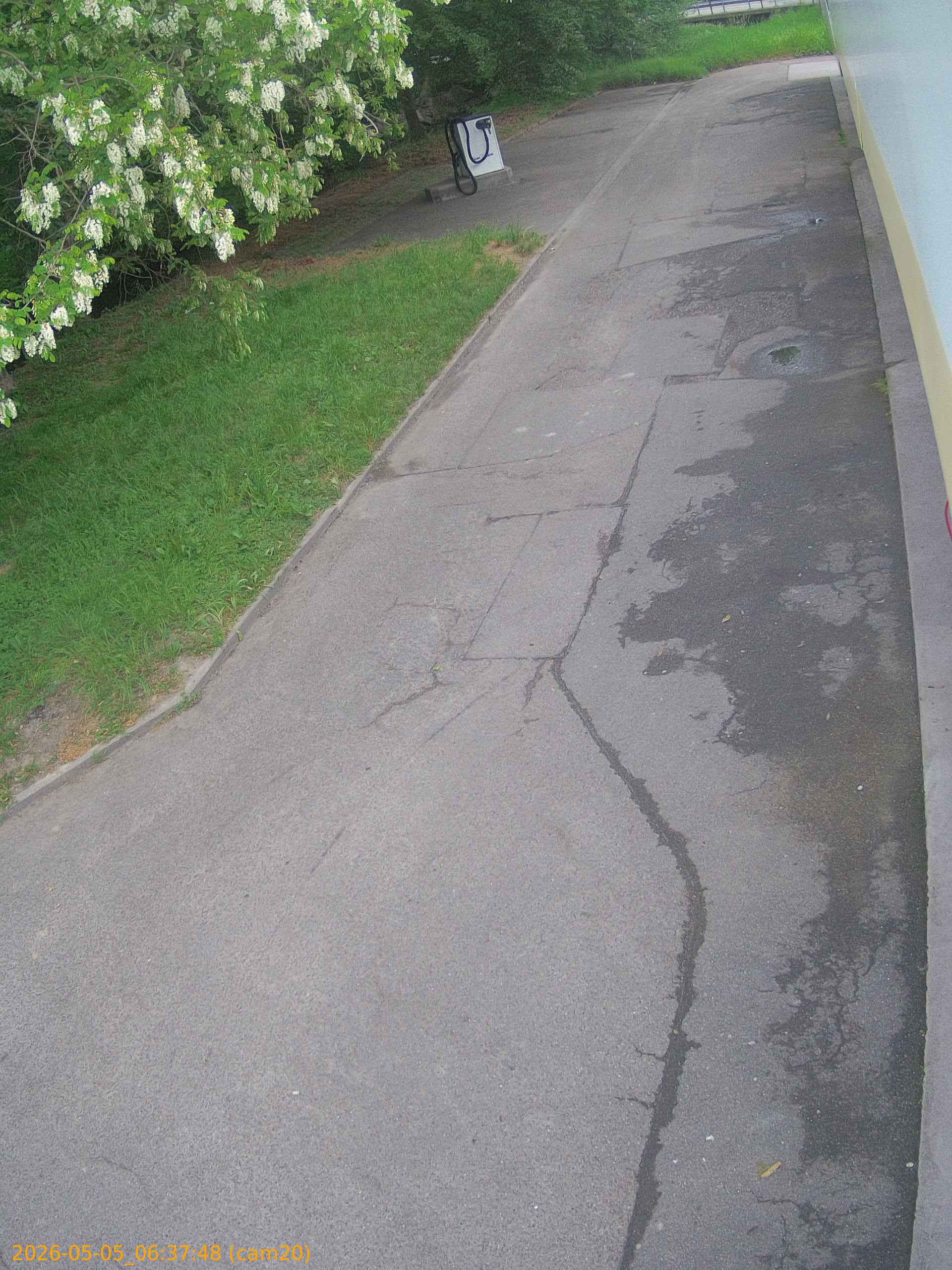 thumbnail_20260505063748