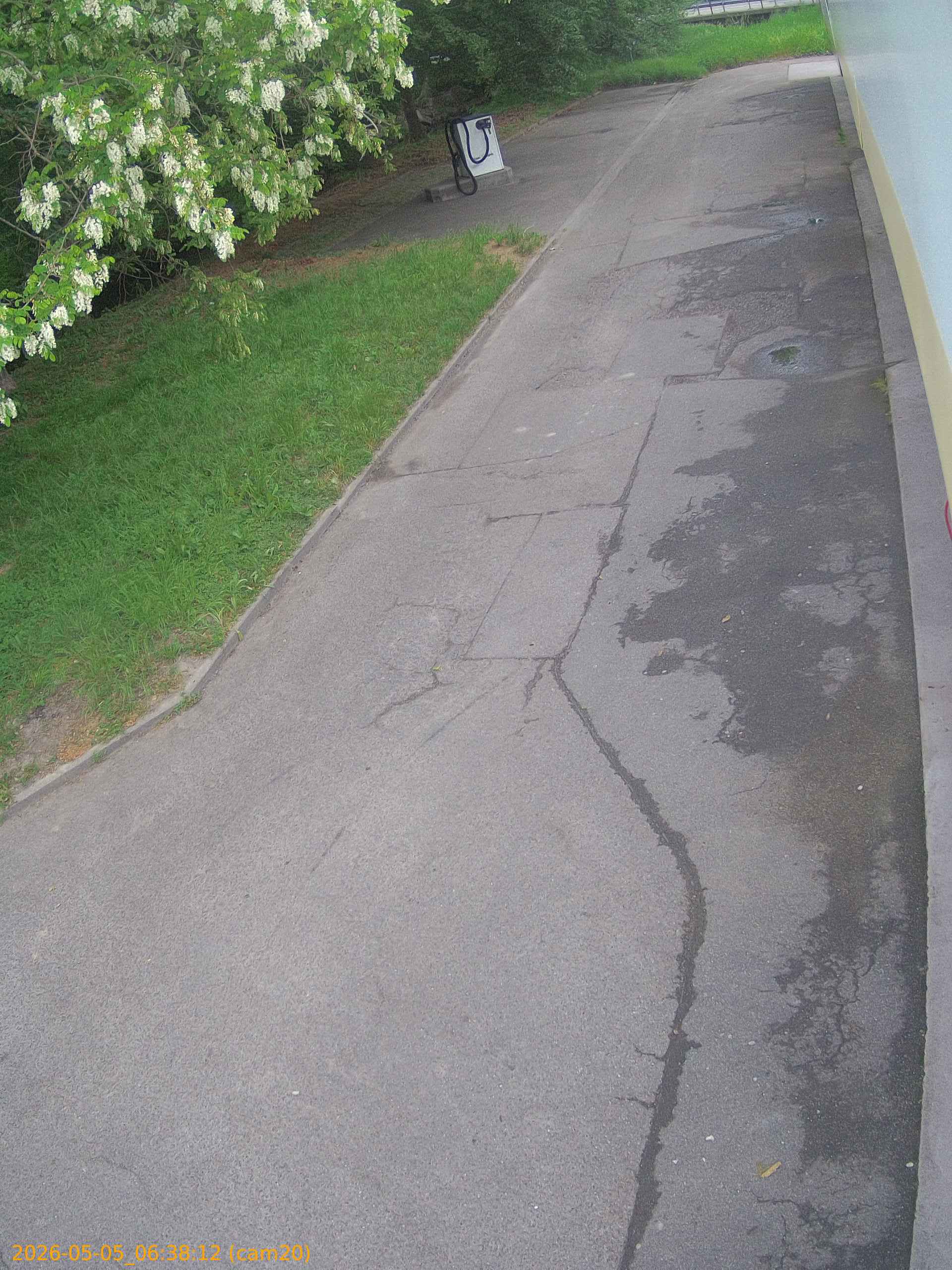 thumbnail_20260505063812