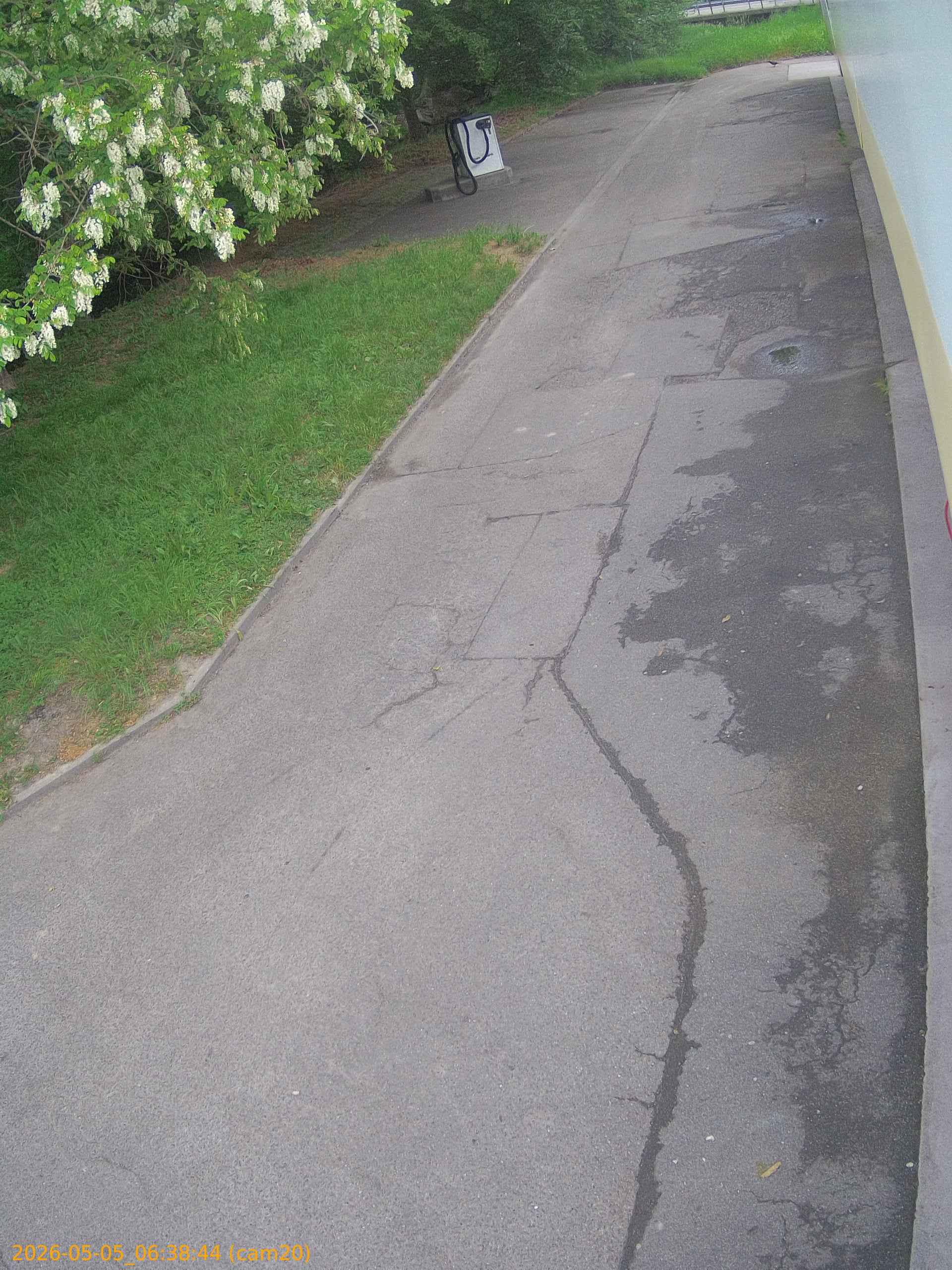 thumbnail_20260505063844