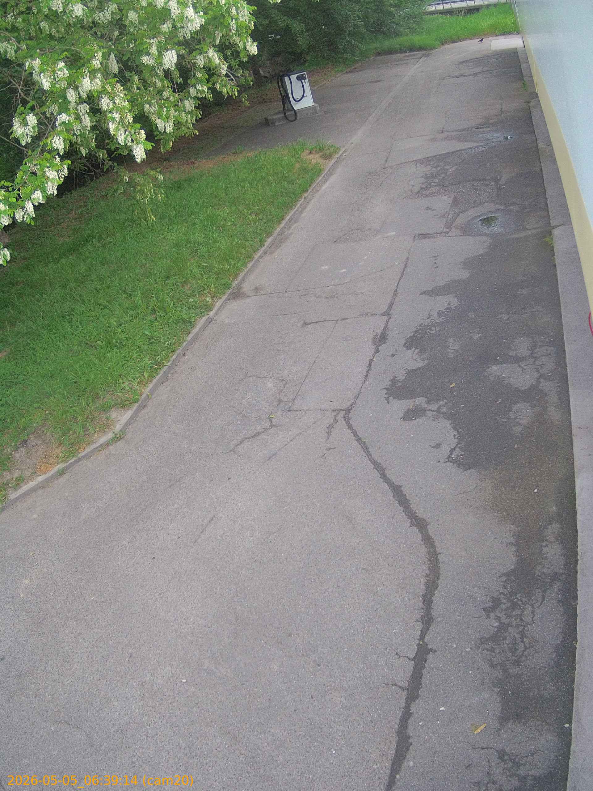 20260505063914