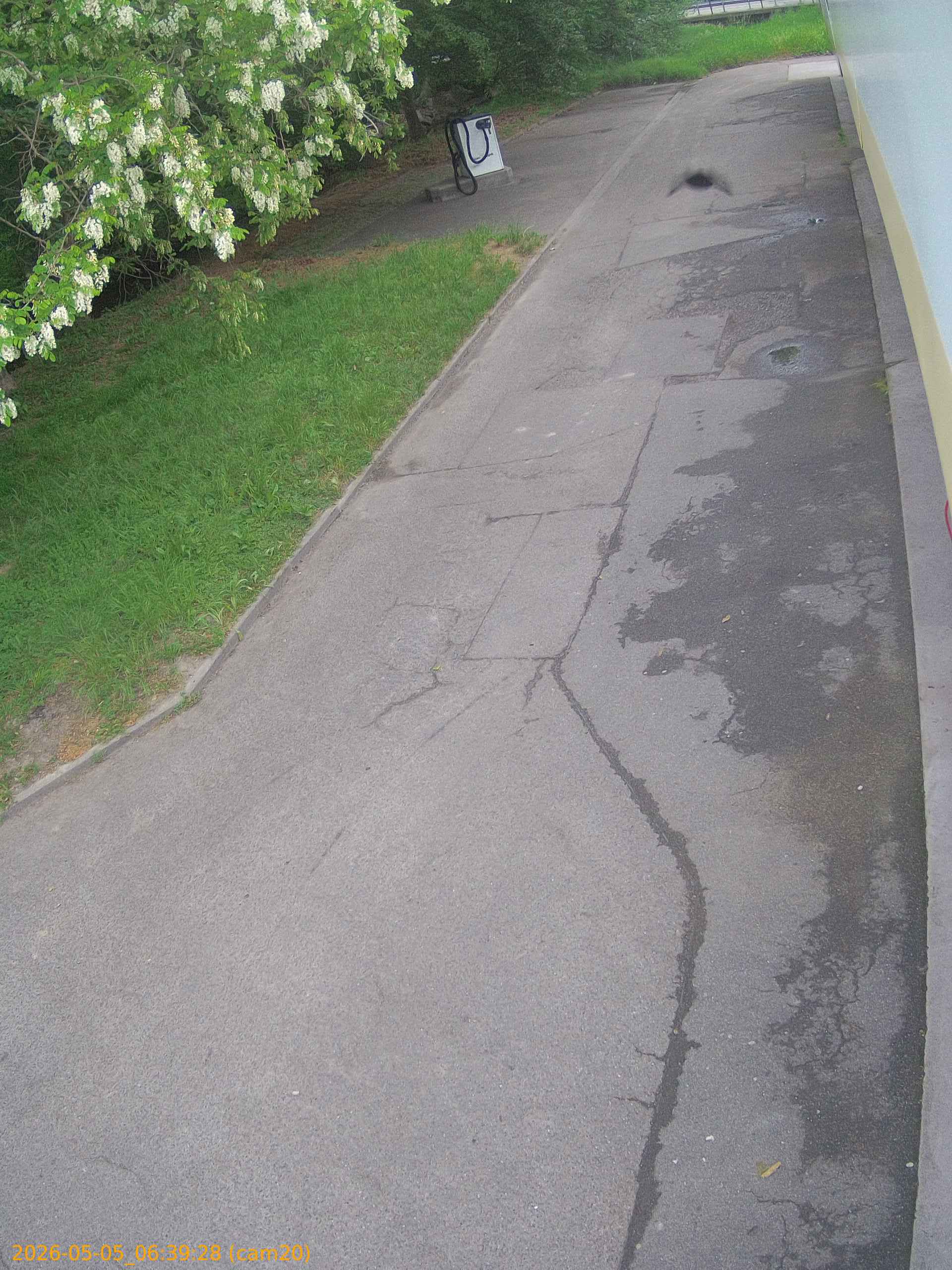 20260505063928