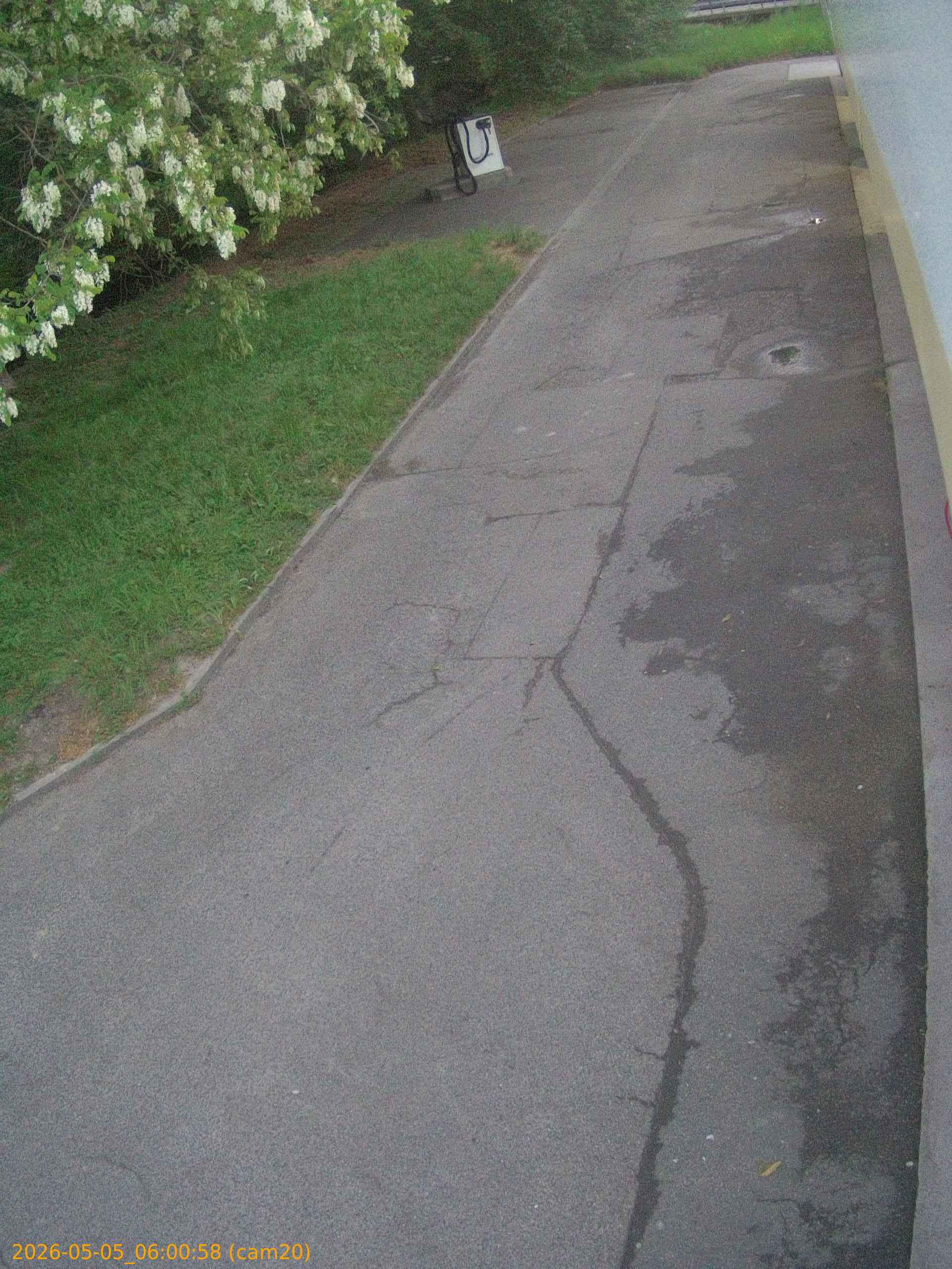 thumbnail_202605050600