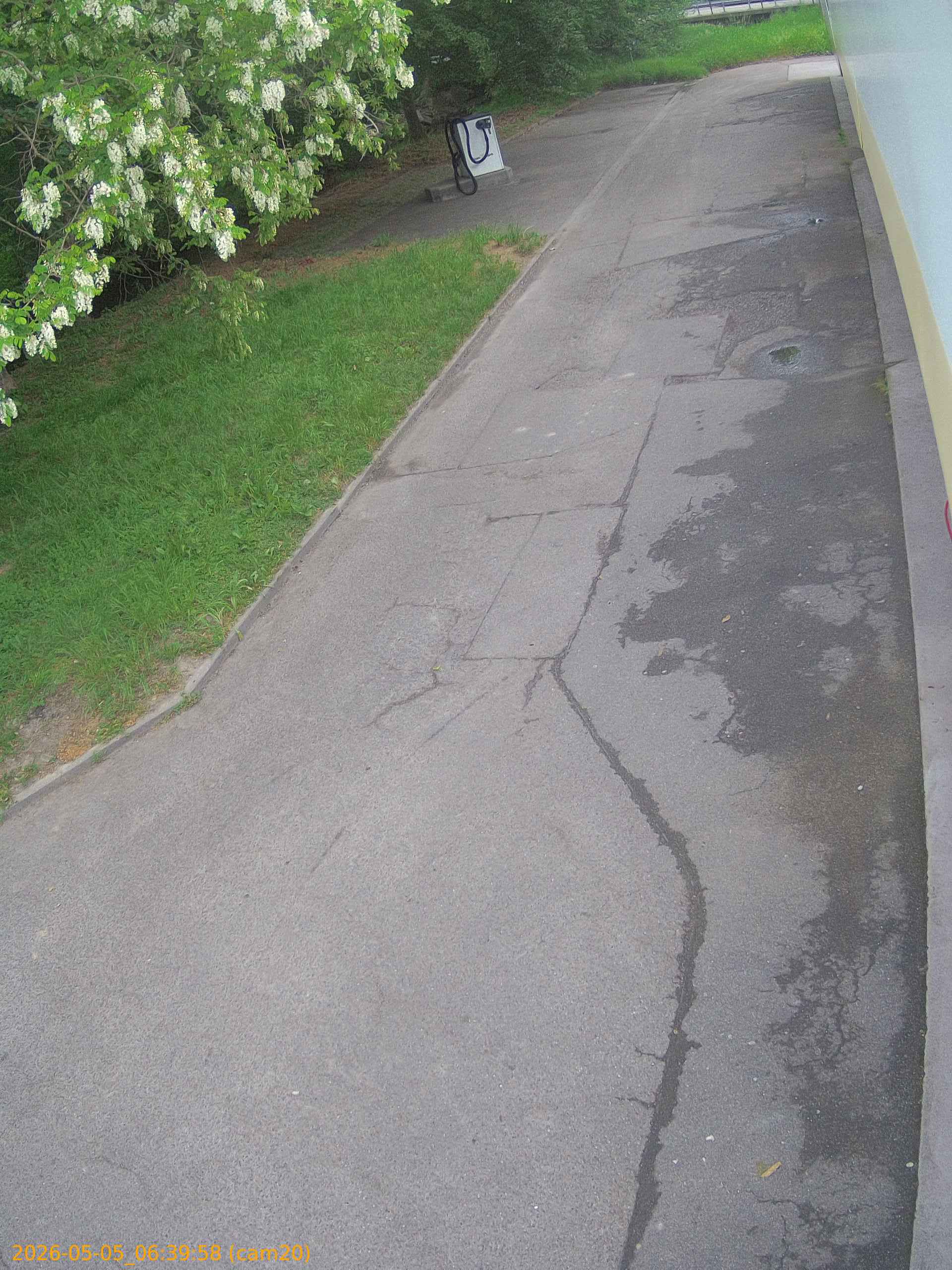 thumbnail_202605050639