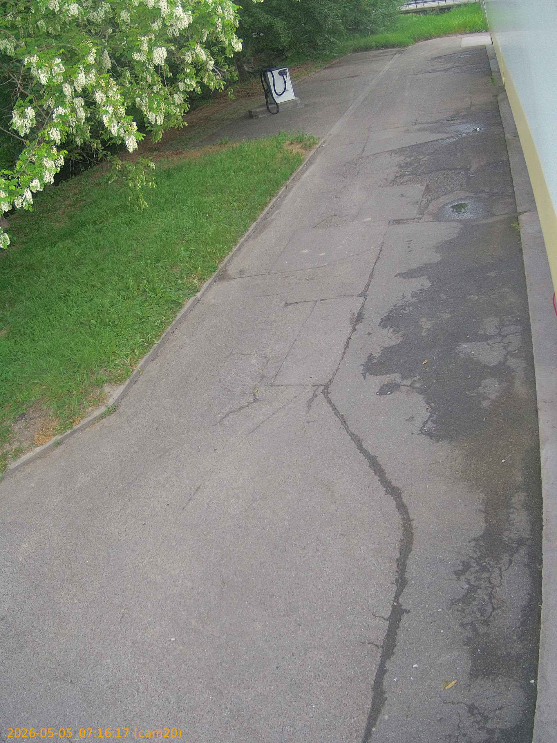 thumbnail_20260505071617
