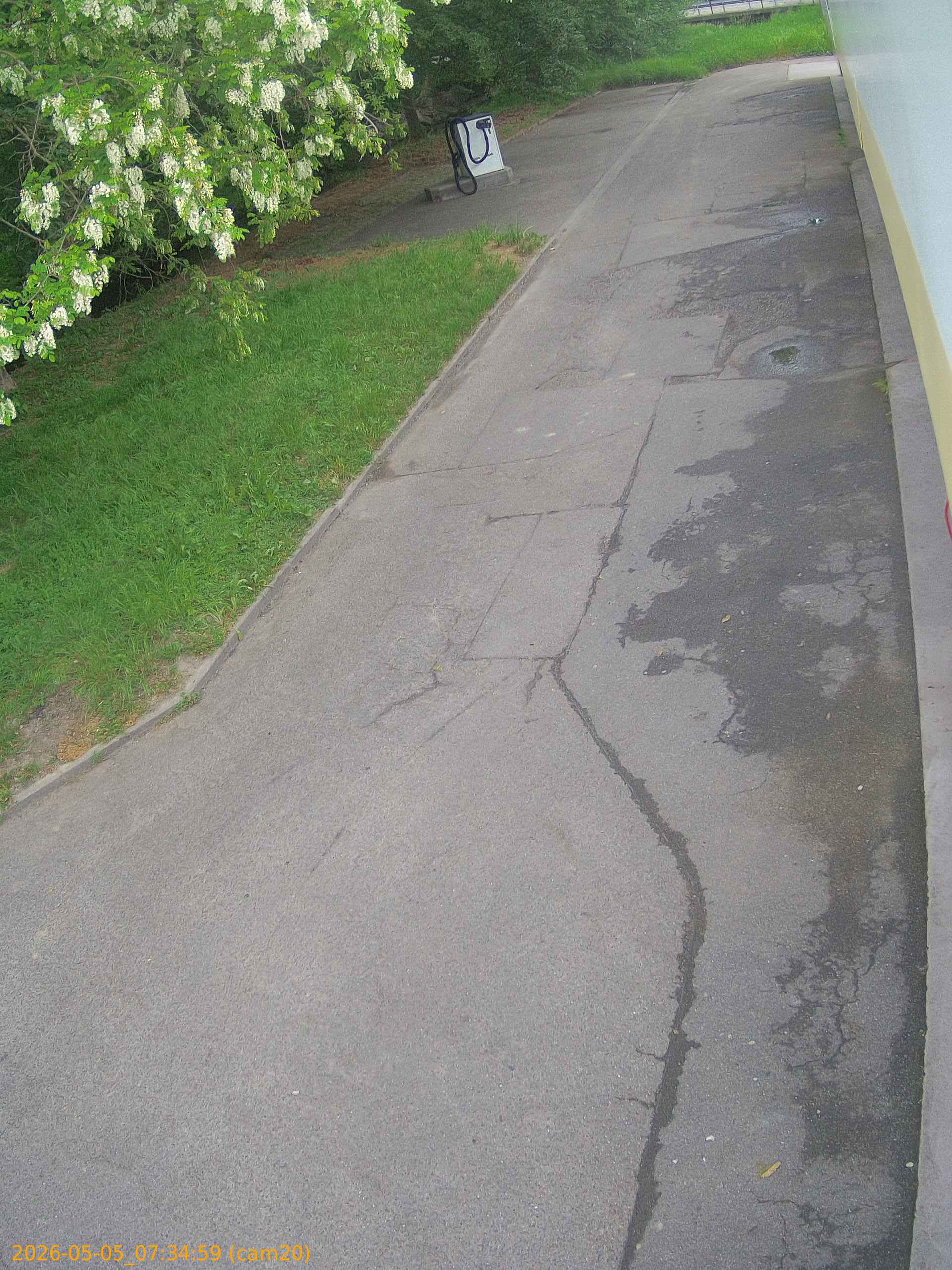 thumbnail_202605050734
