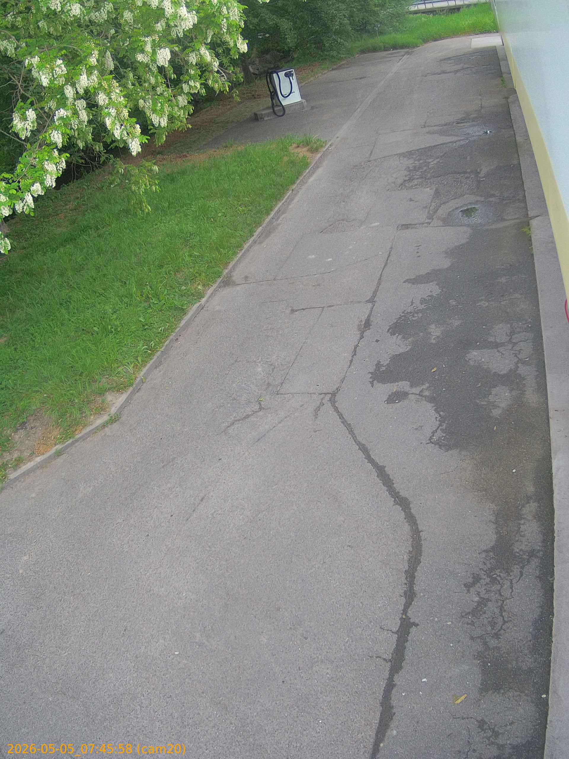 thumbnail_202605050745