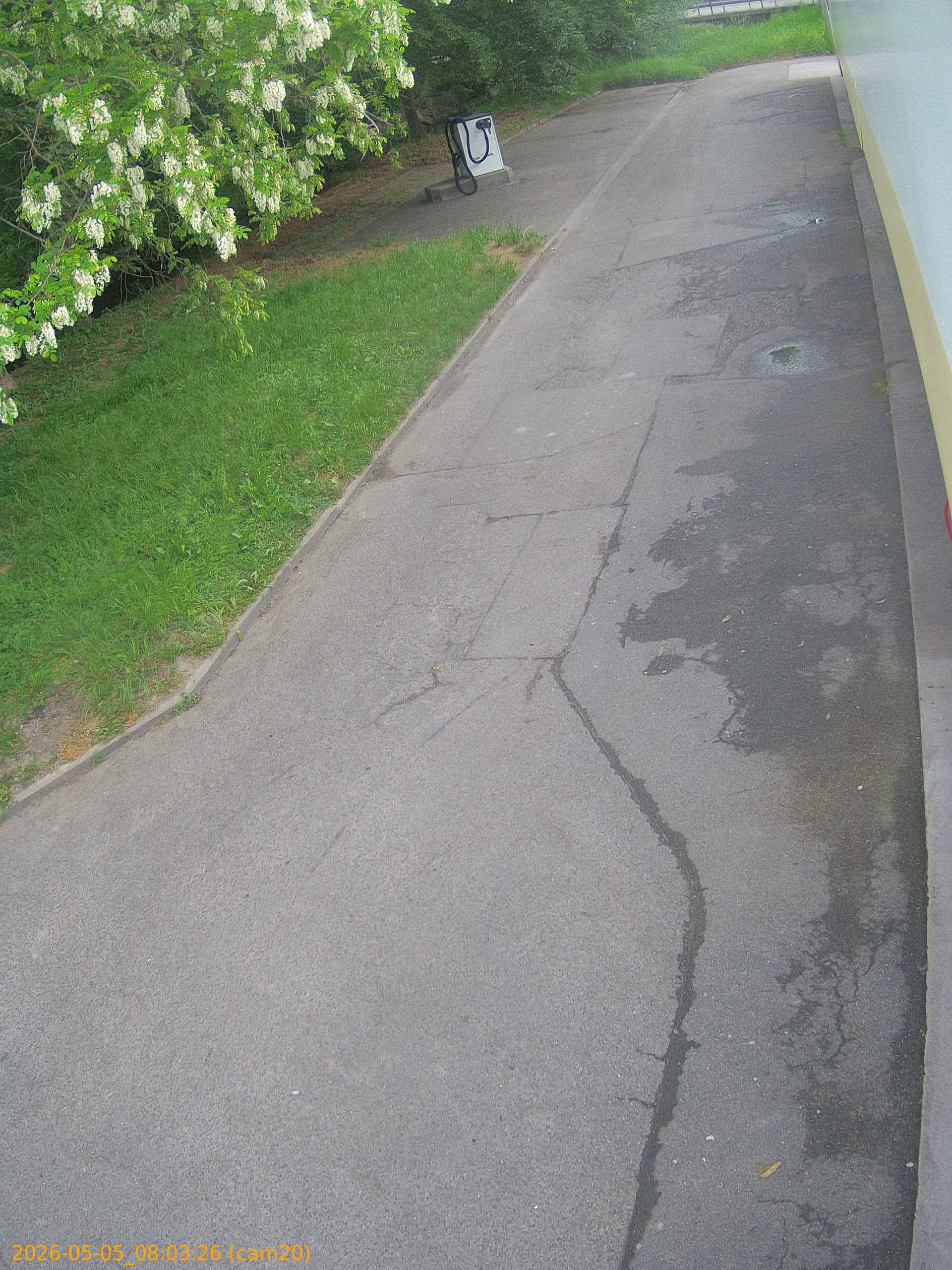 20260505080326