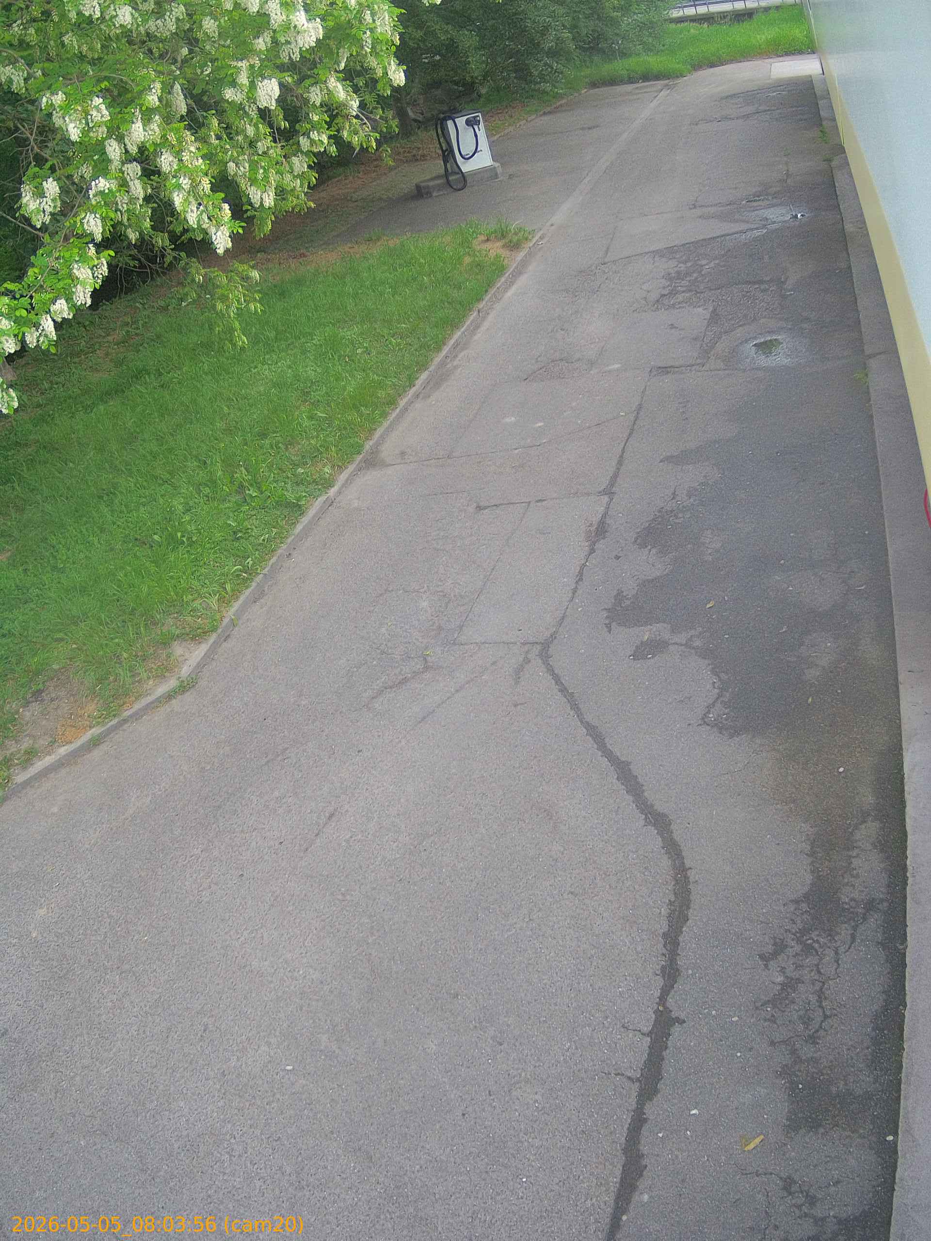 20260505080356