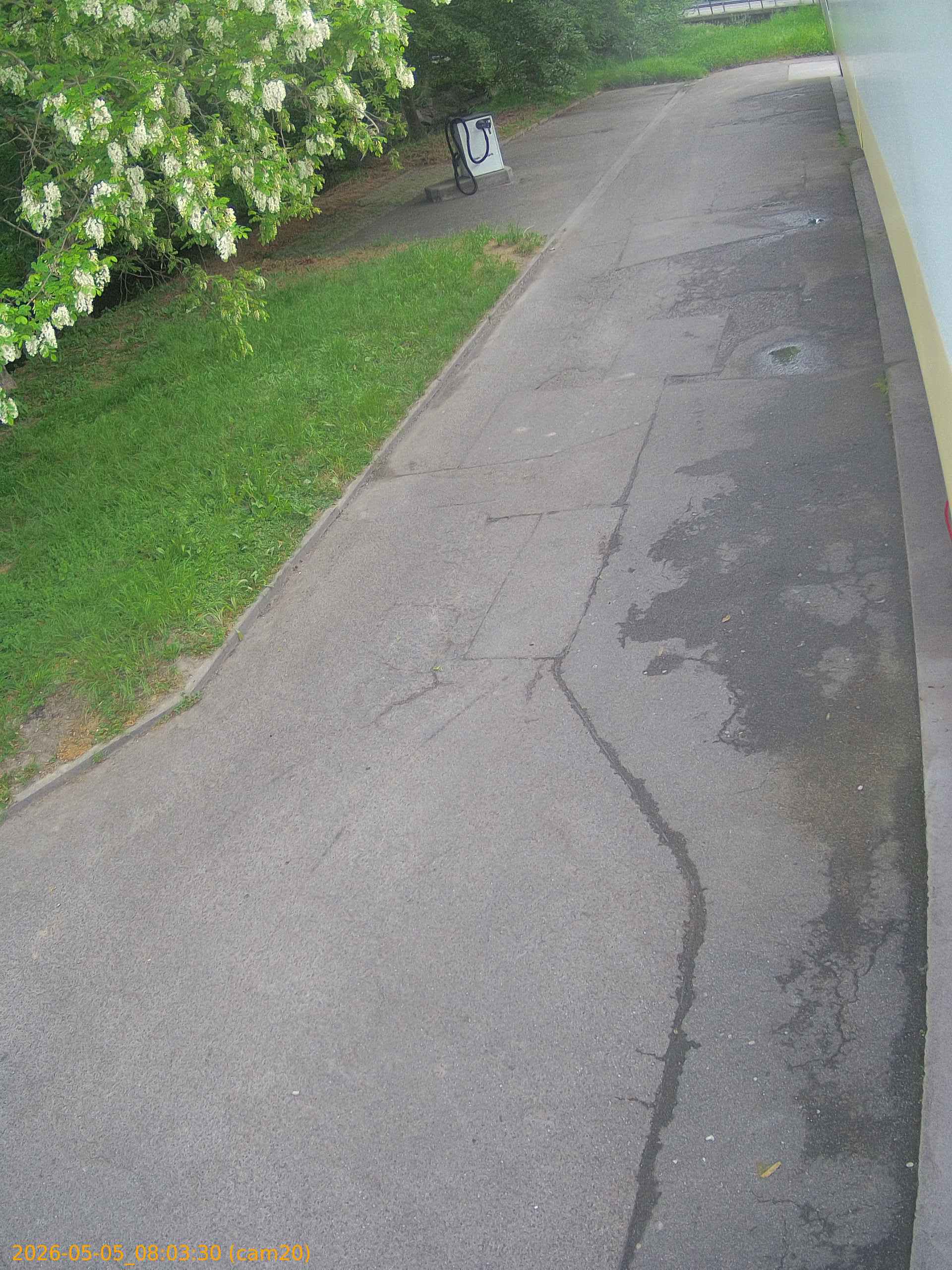 thumbnail_20260505080330
