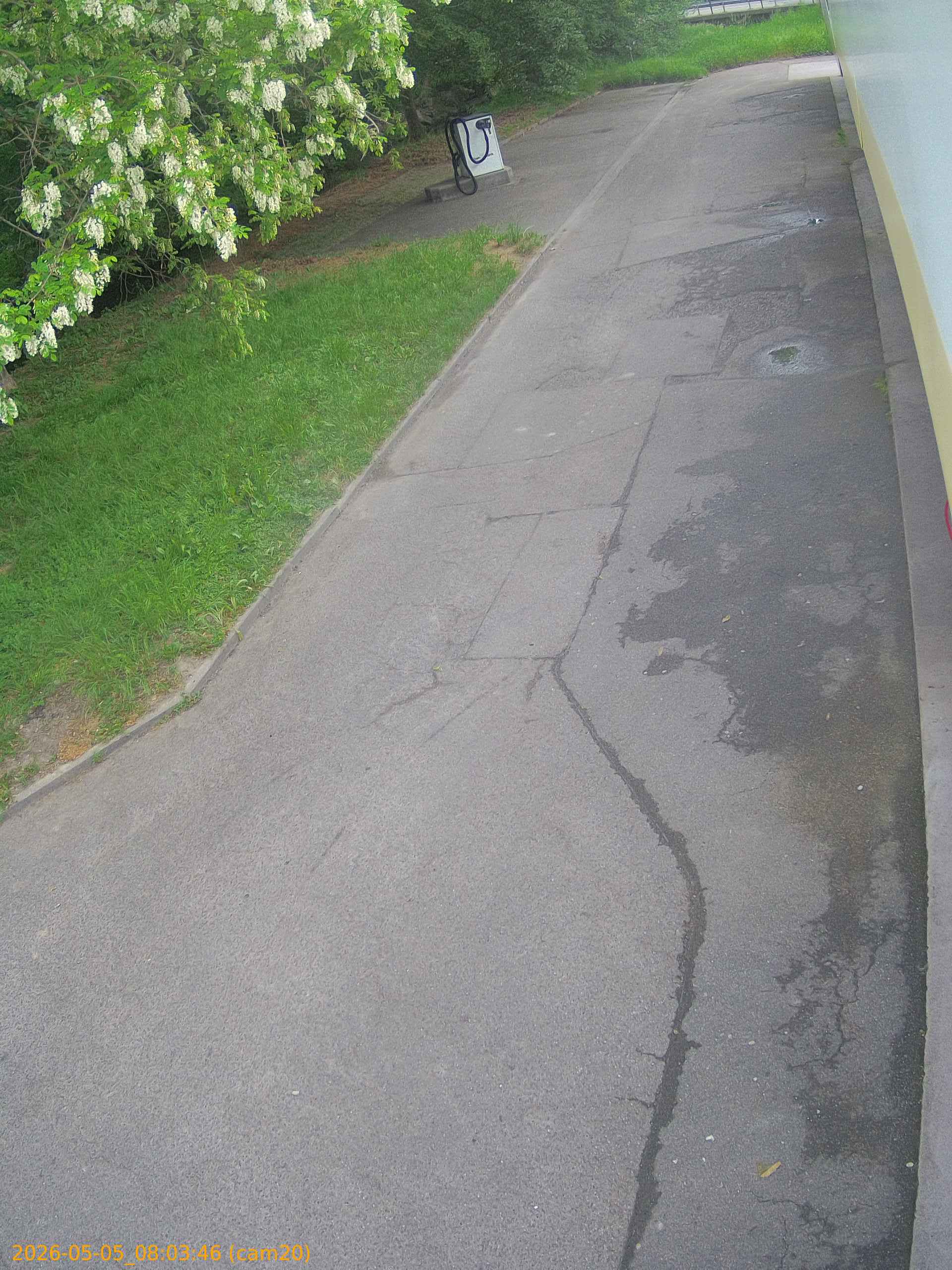 thumbnail_20260505080346