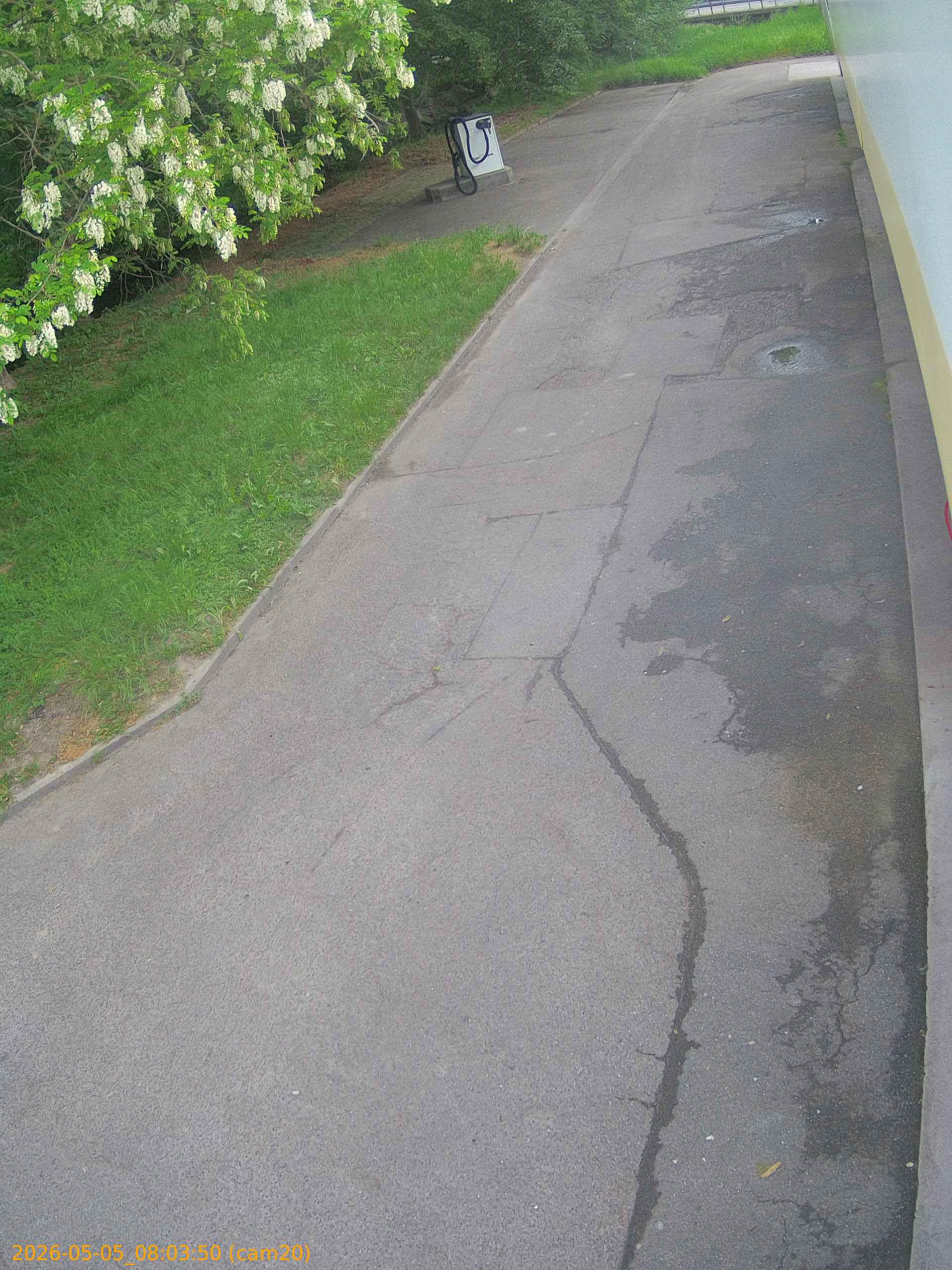 thumbnail_20260505080350