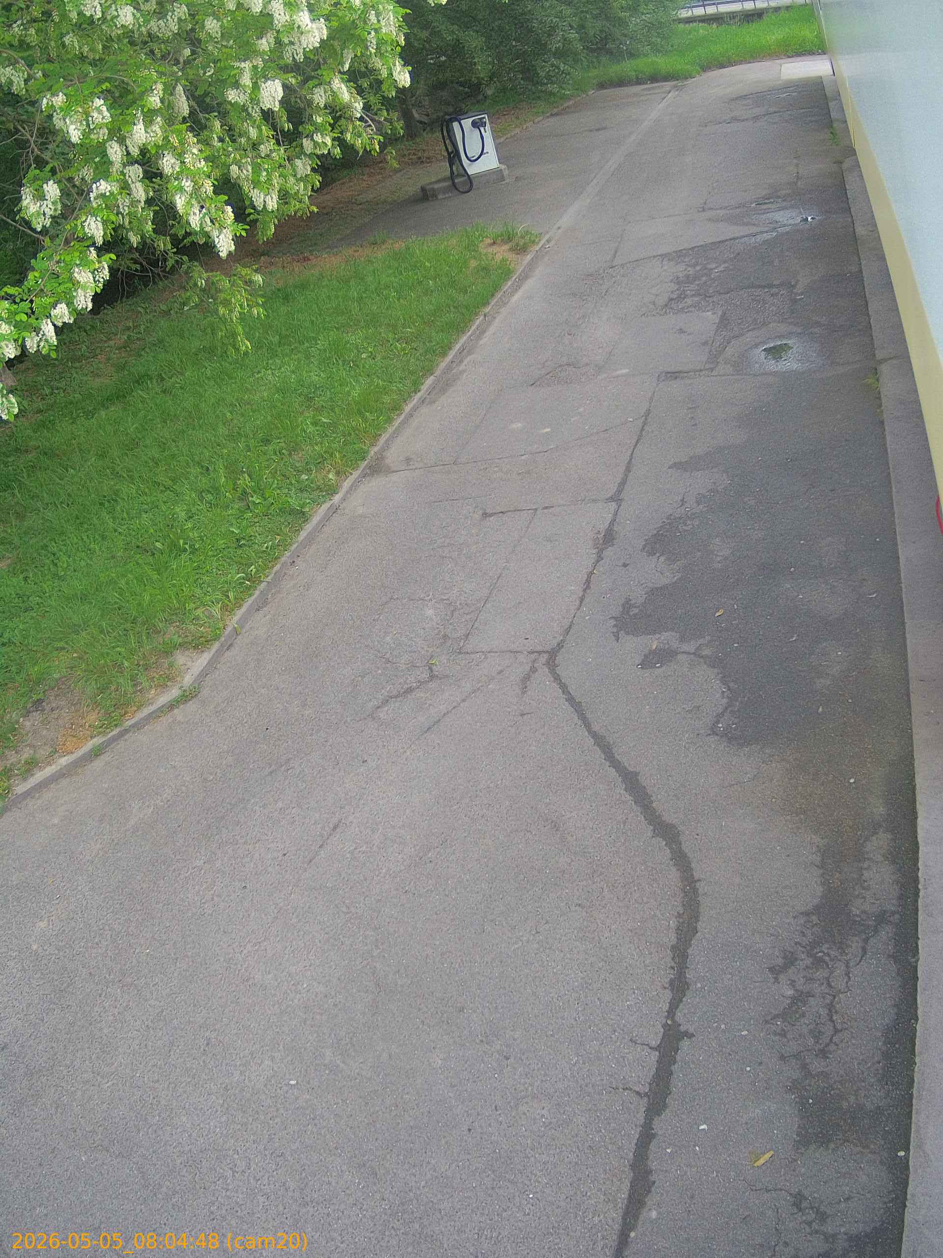 20260505080448