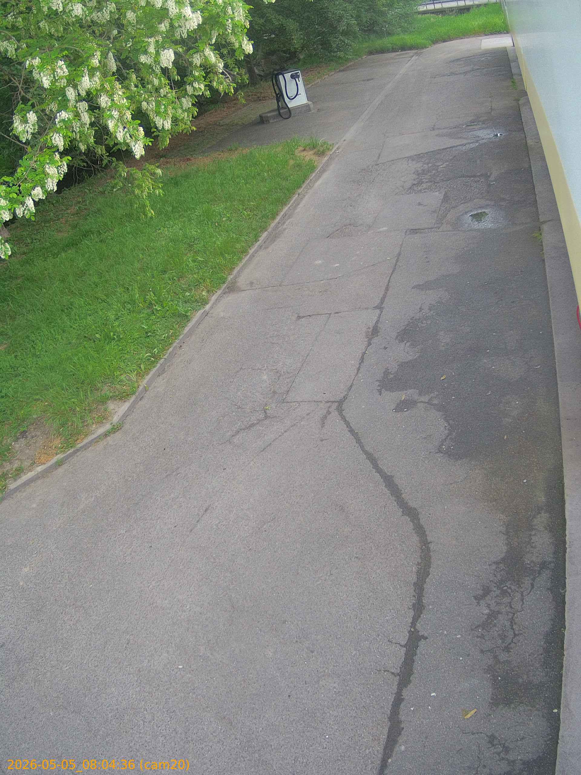 thumbnail_20260505080436