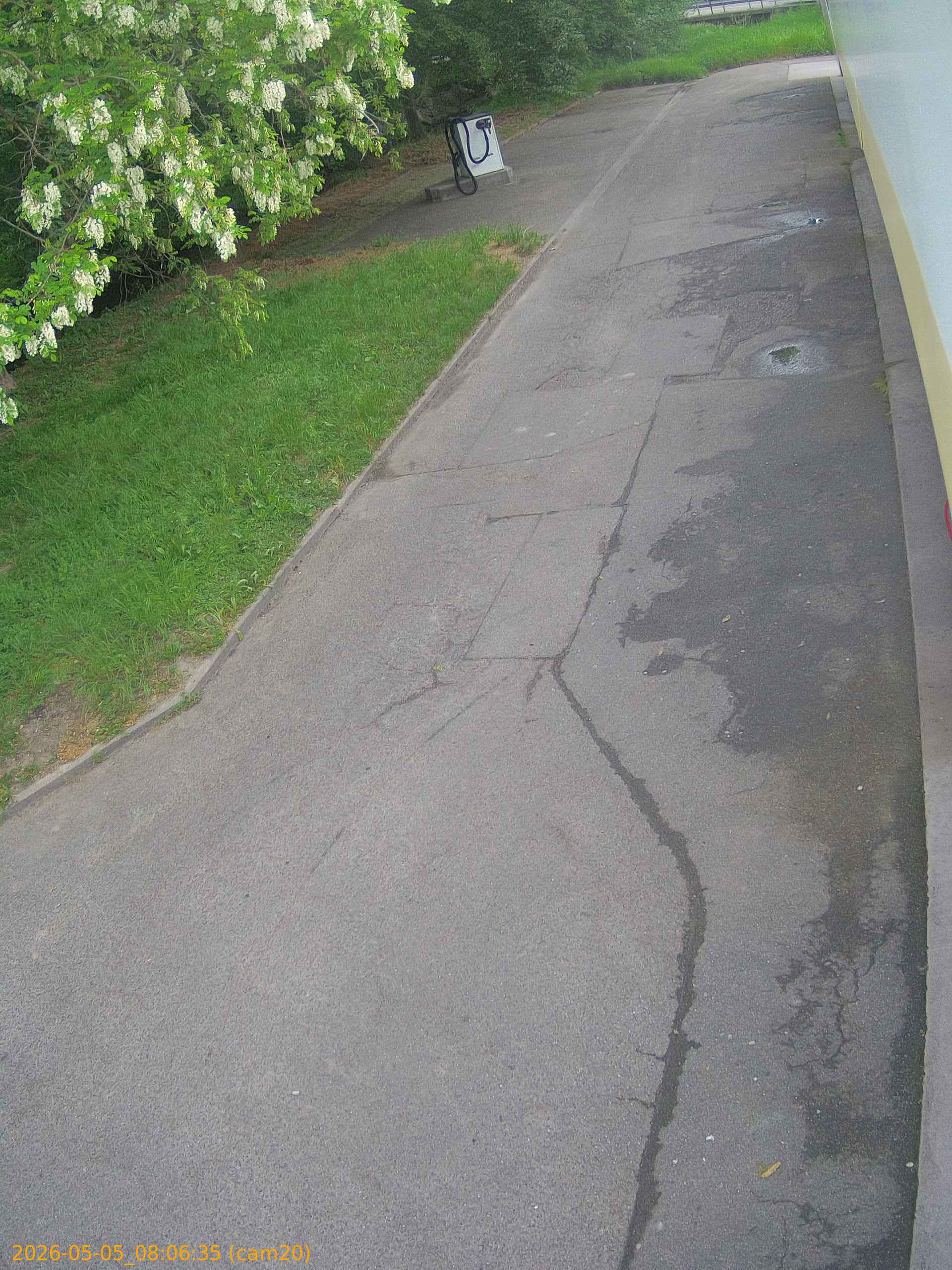 thumbnail_20260505080635