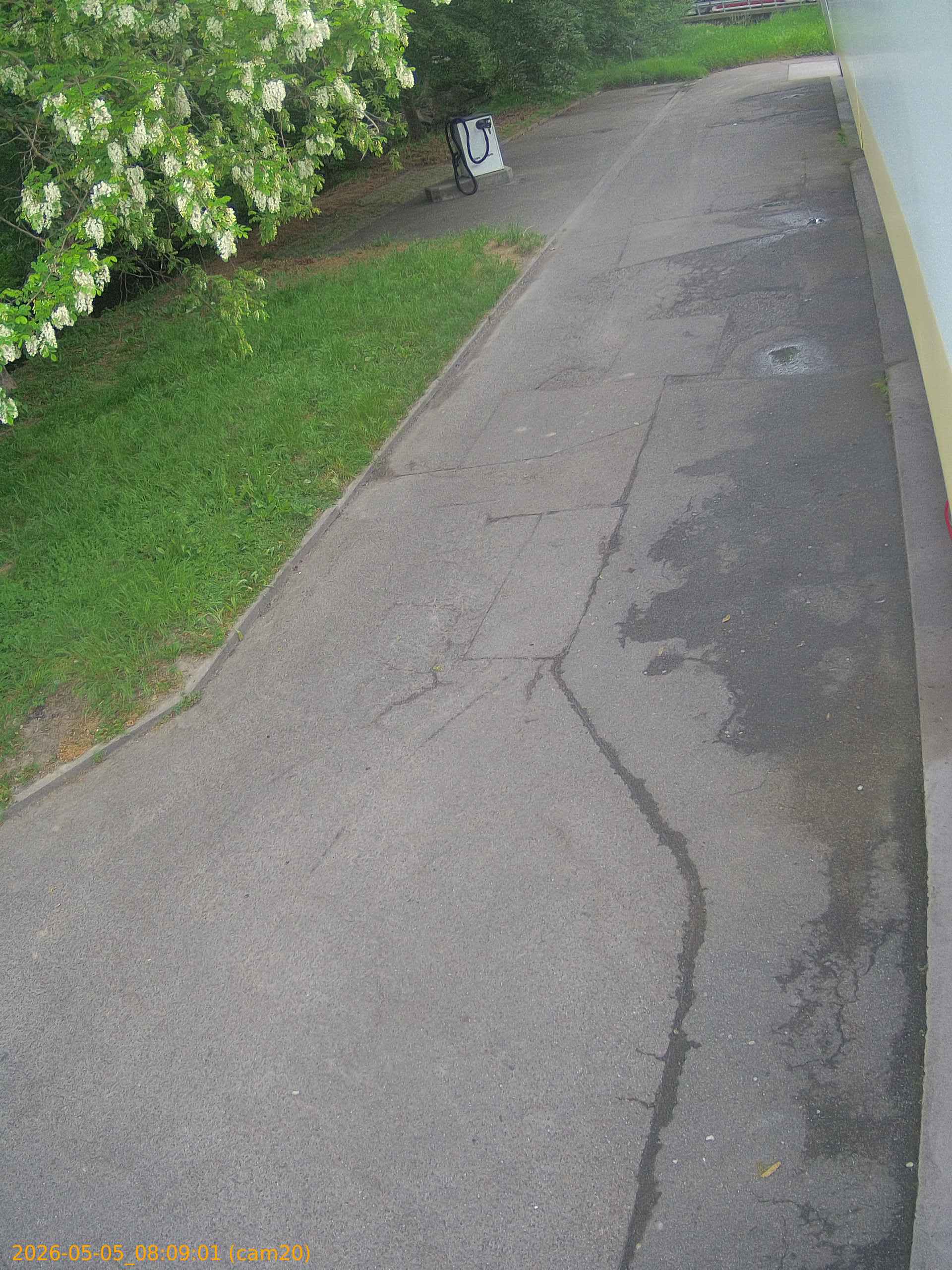 thumbnail_20260505080901