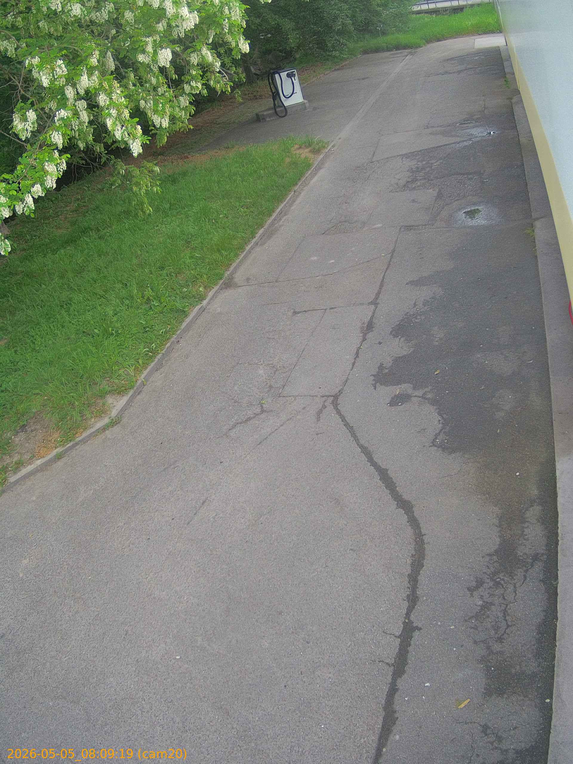 thumbnail_20260505080919