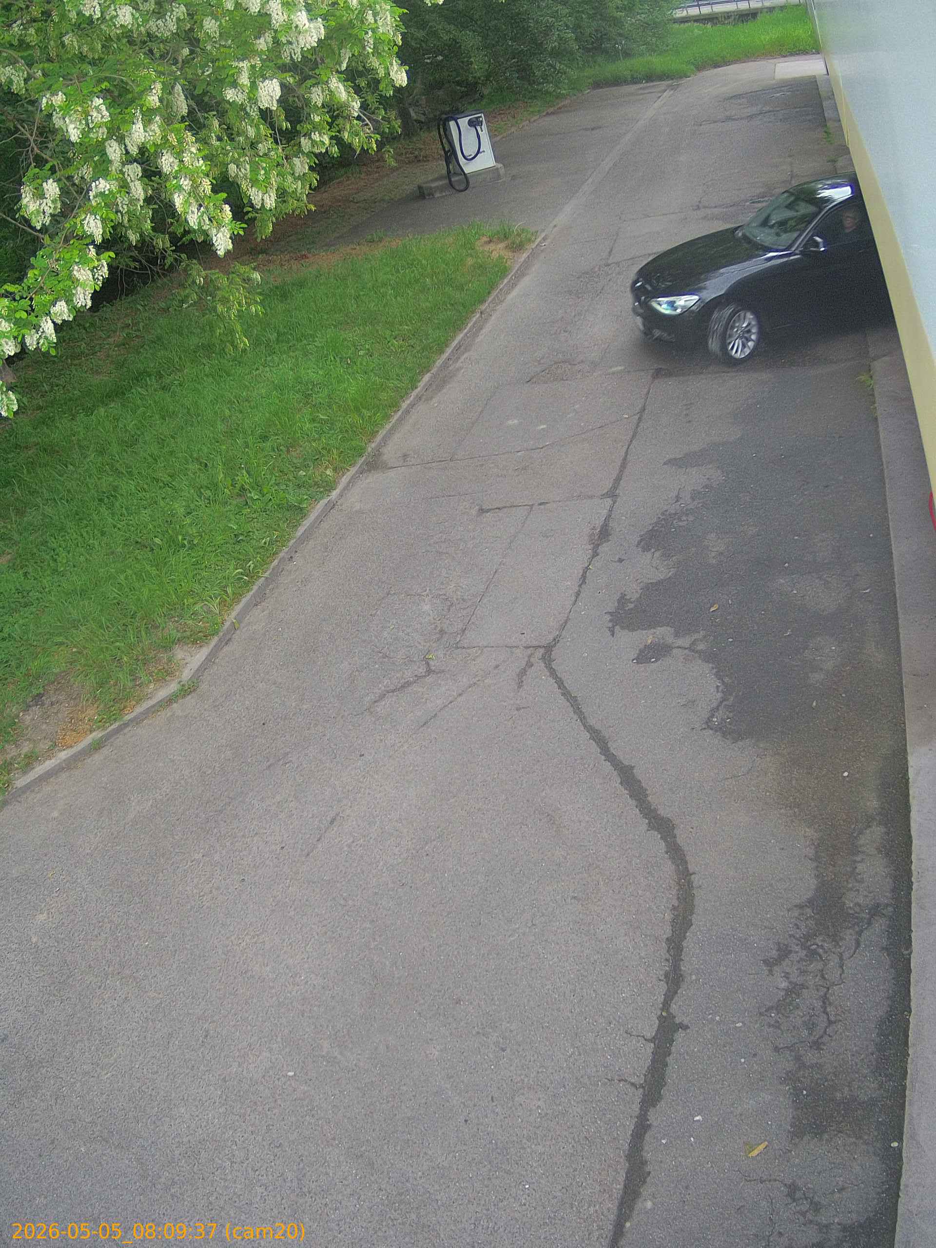 thumbnail_20260505080937