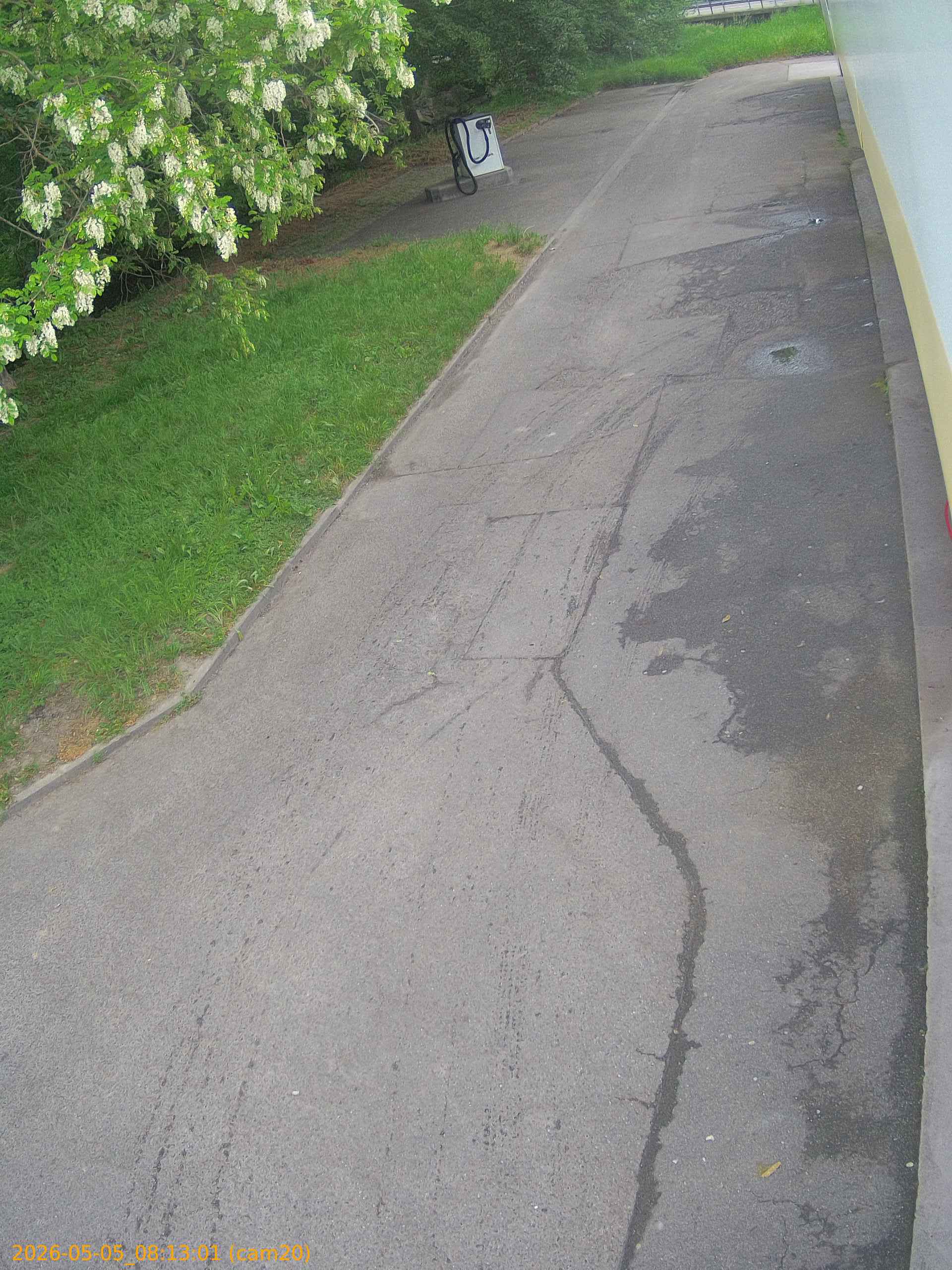 thumbnail_20260505081301