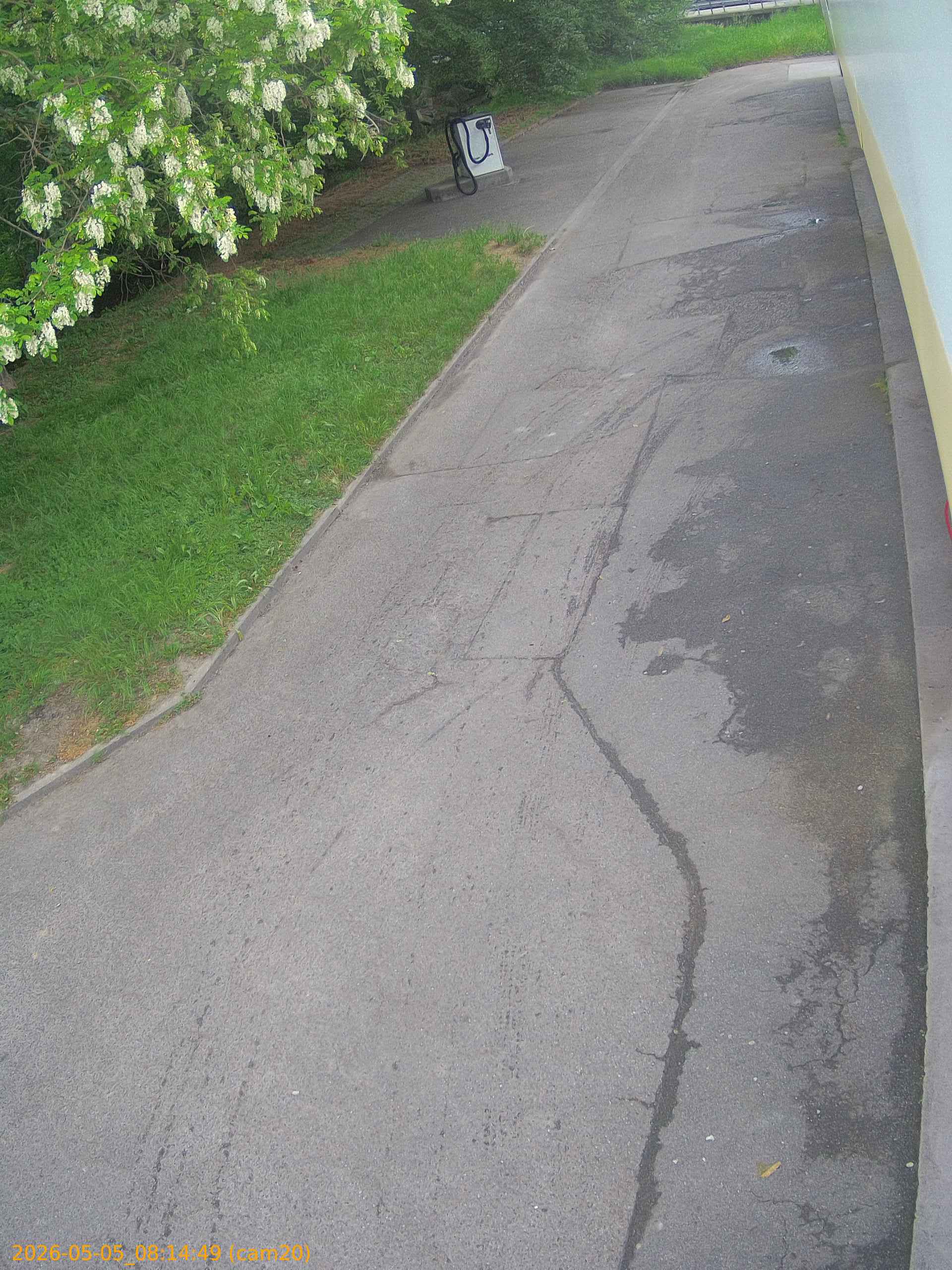 thumbnail_20260505081449