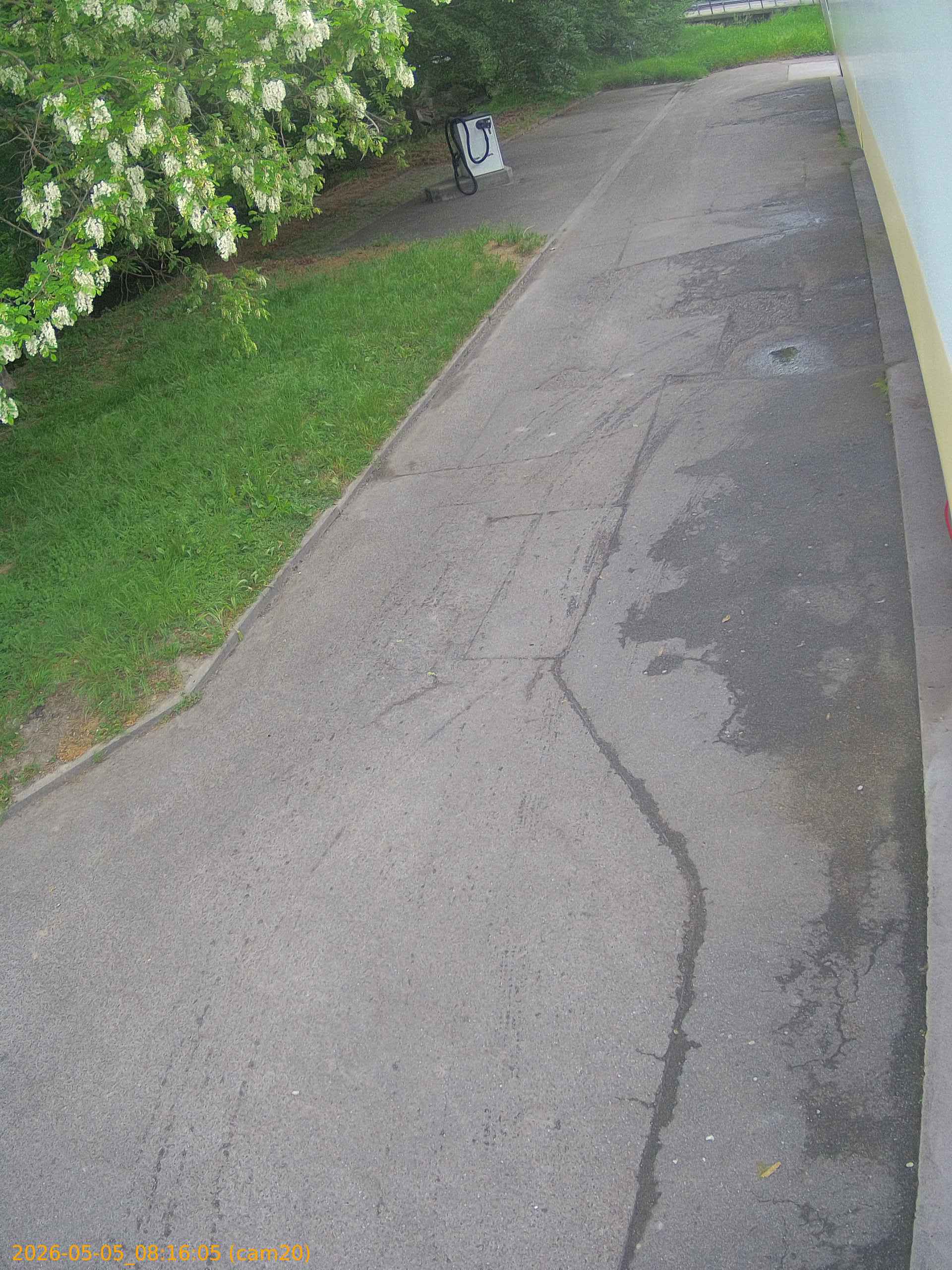 20260505081605