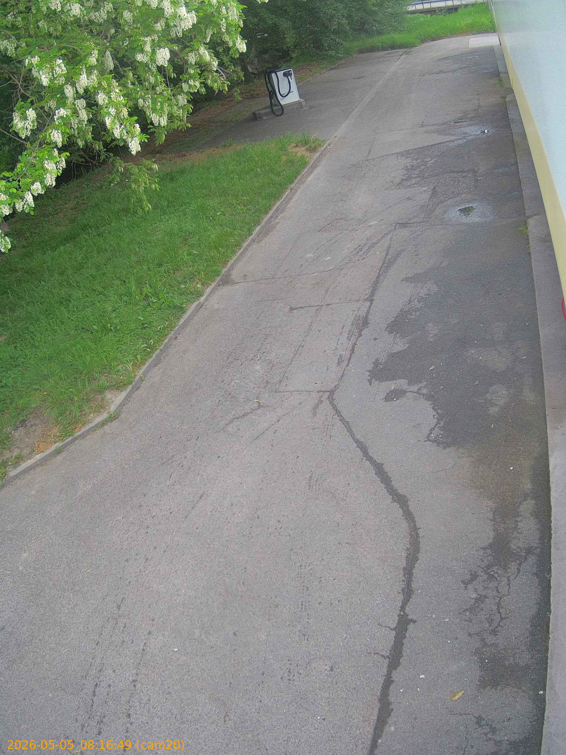 thumbnail_20260505081649