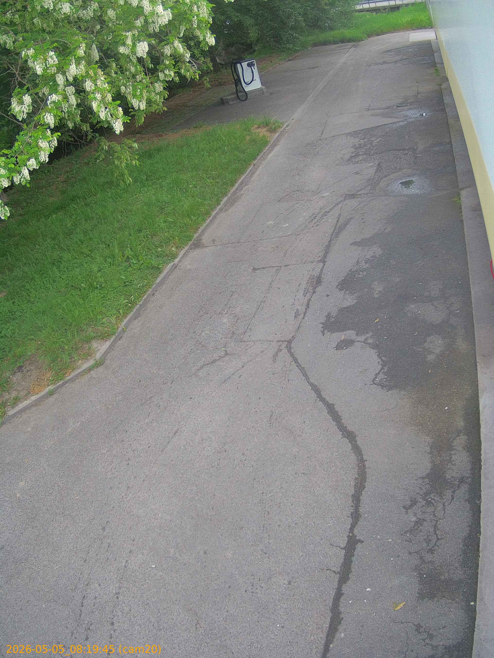 thumbnail_20260505081945