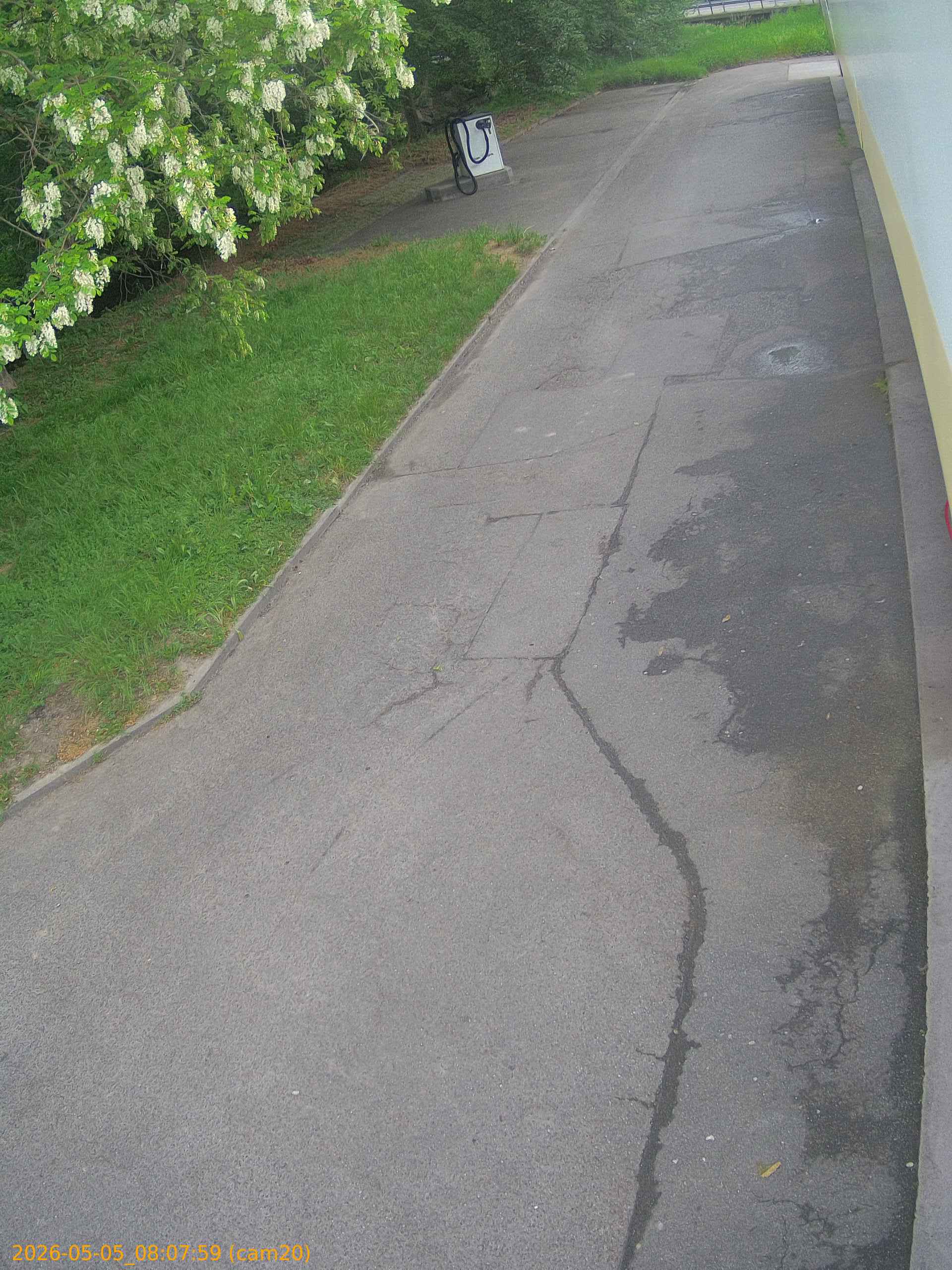 202605050807