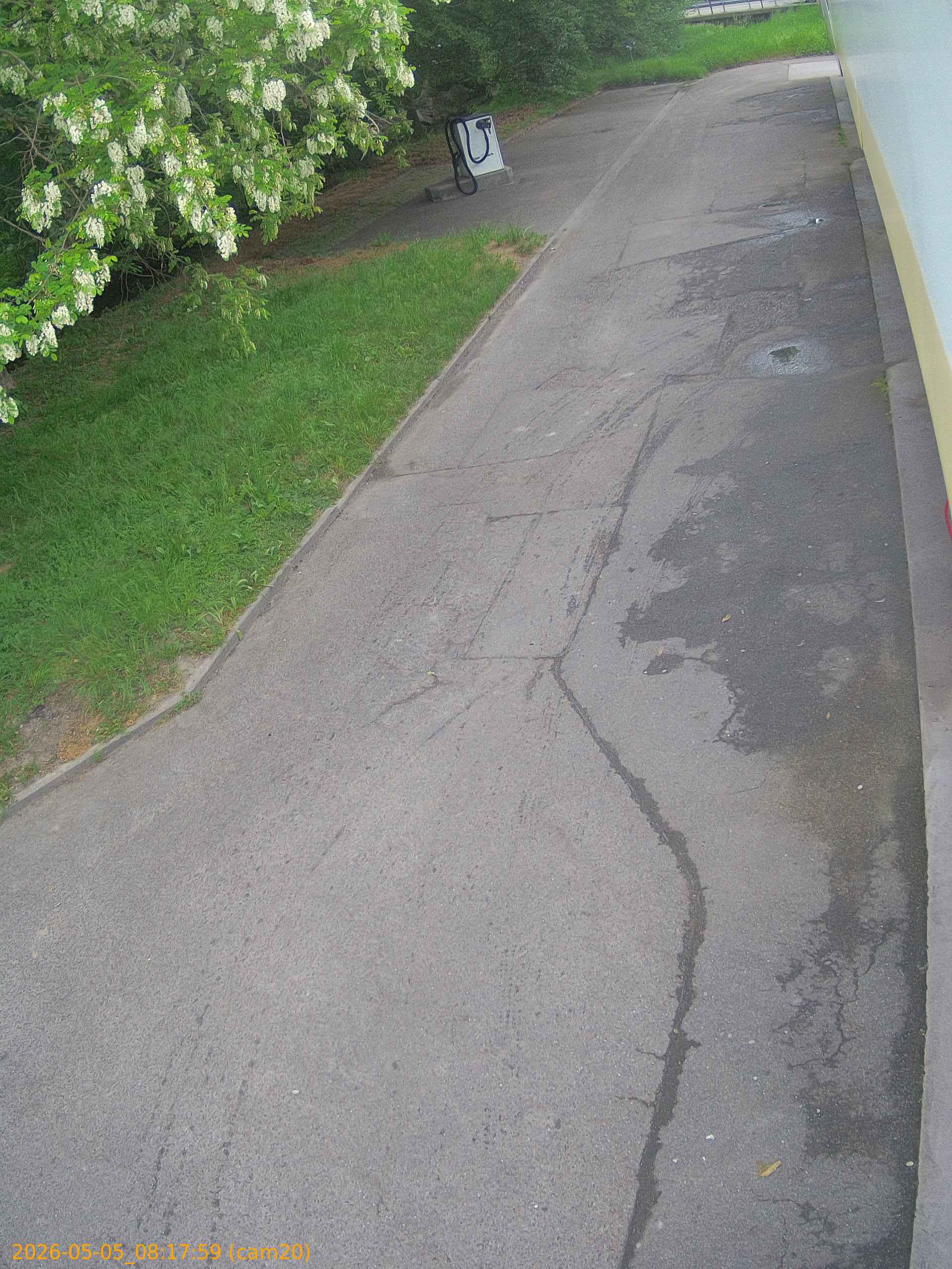 202605050817