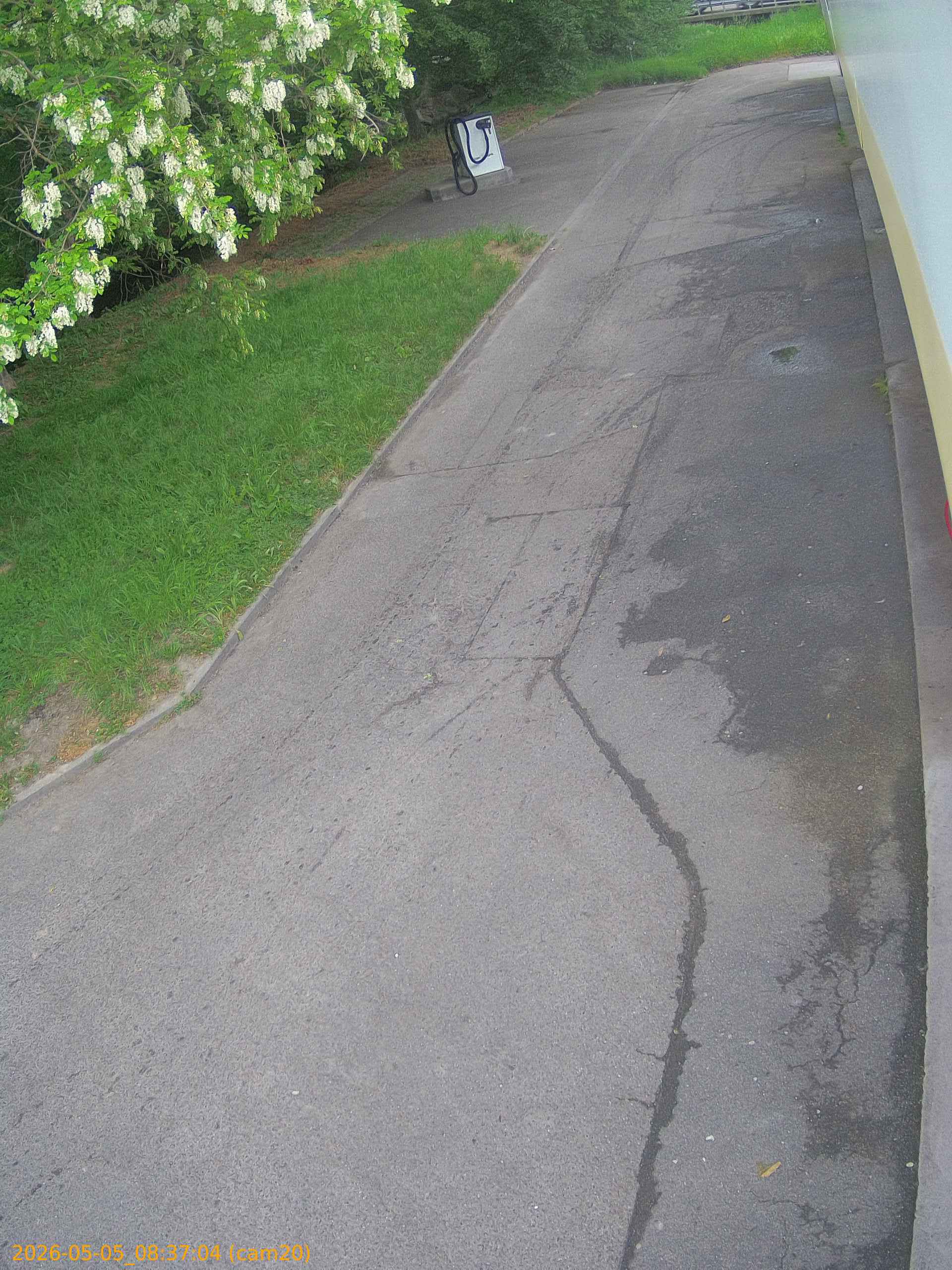 20260505083704