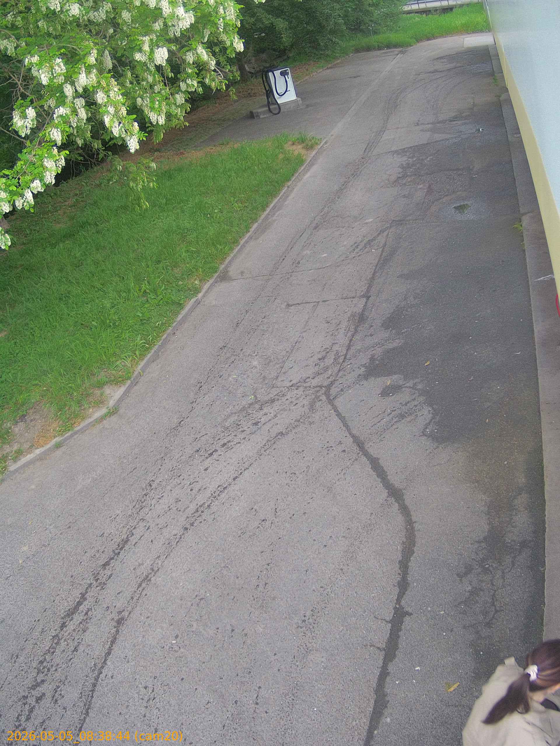 thumbnail_20260505083844