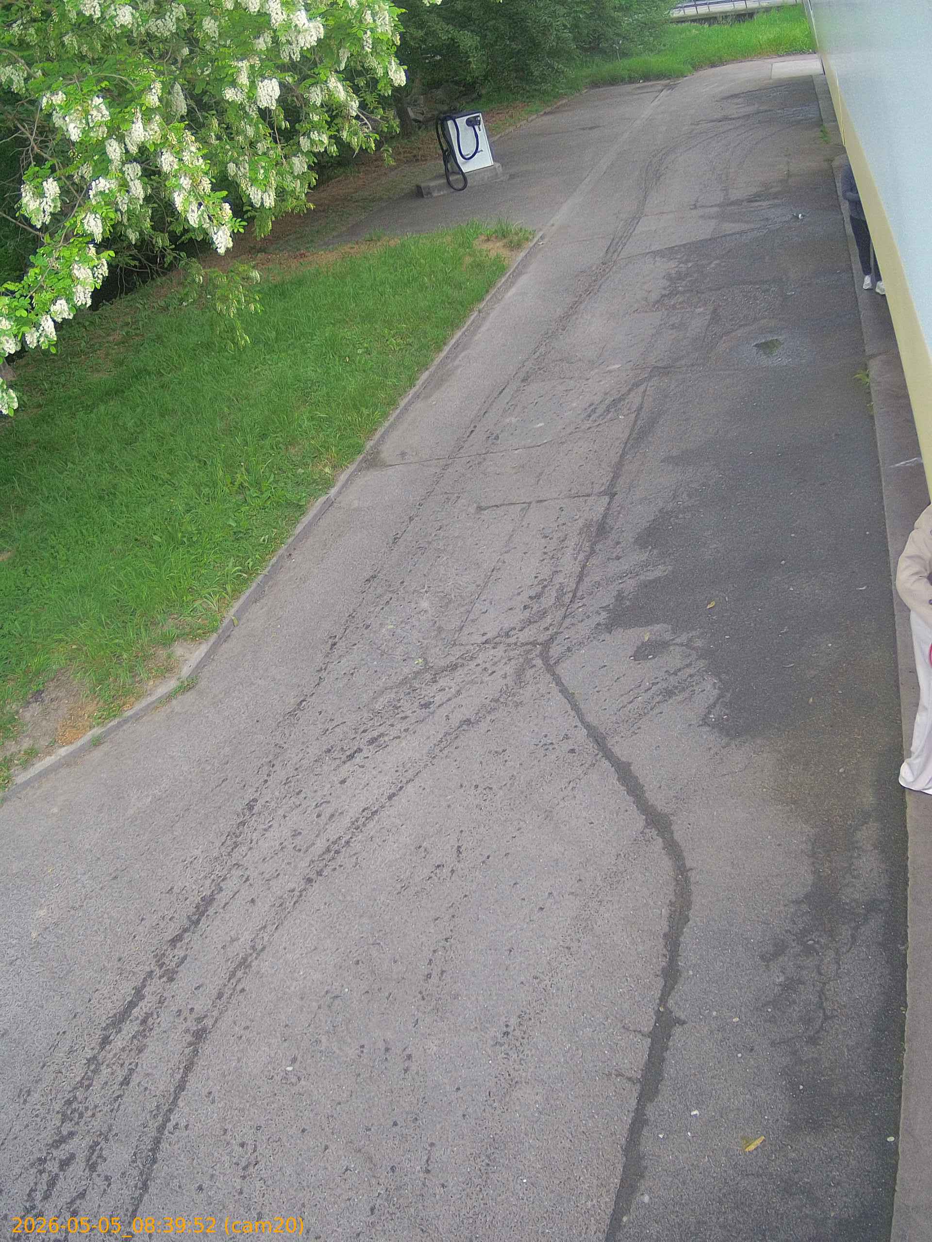 20260505083952