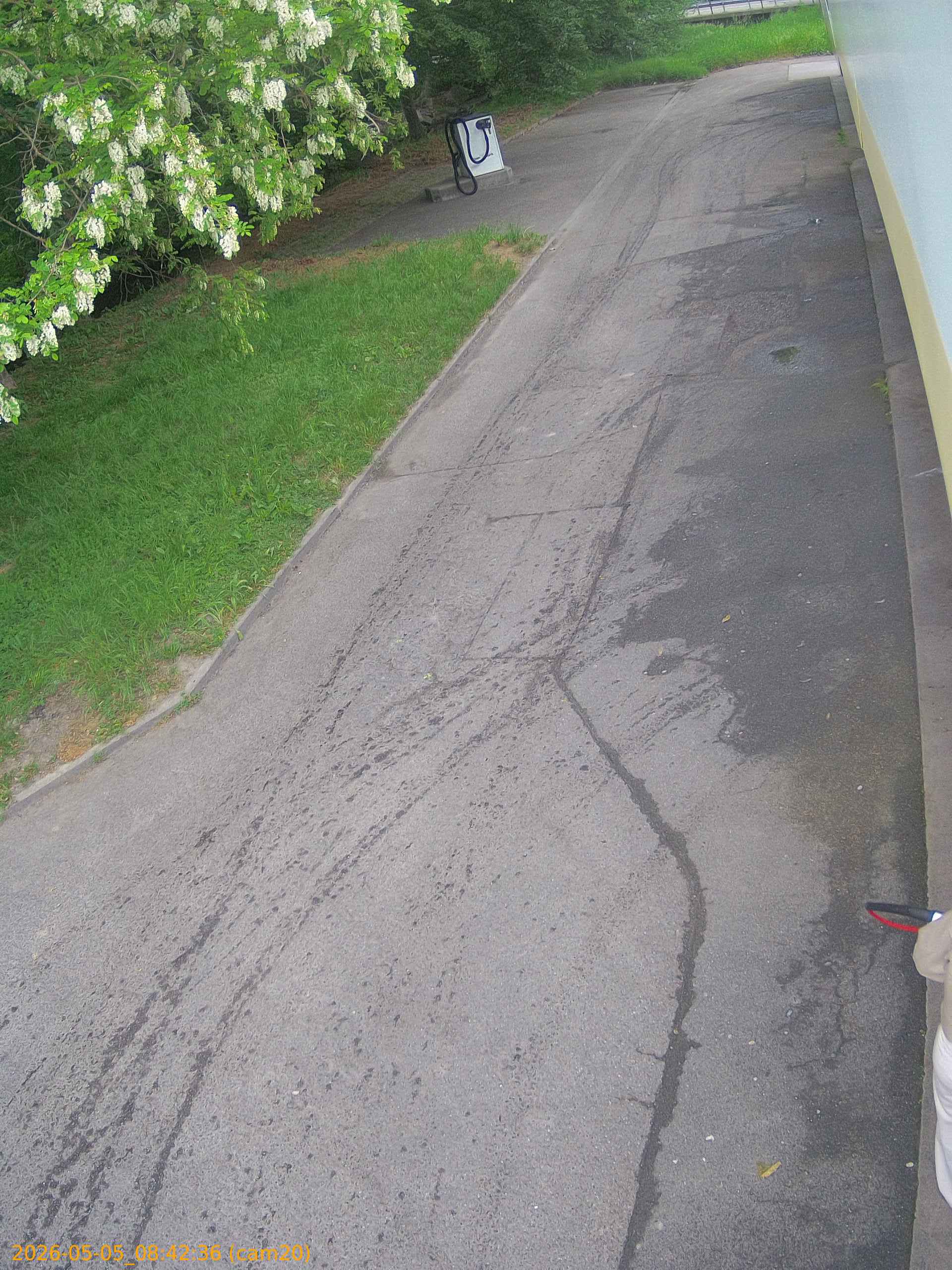 20260505084236