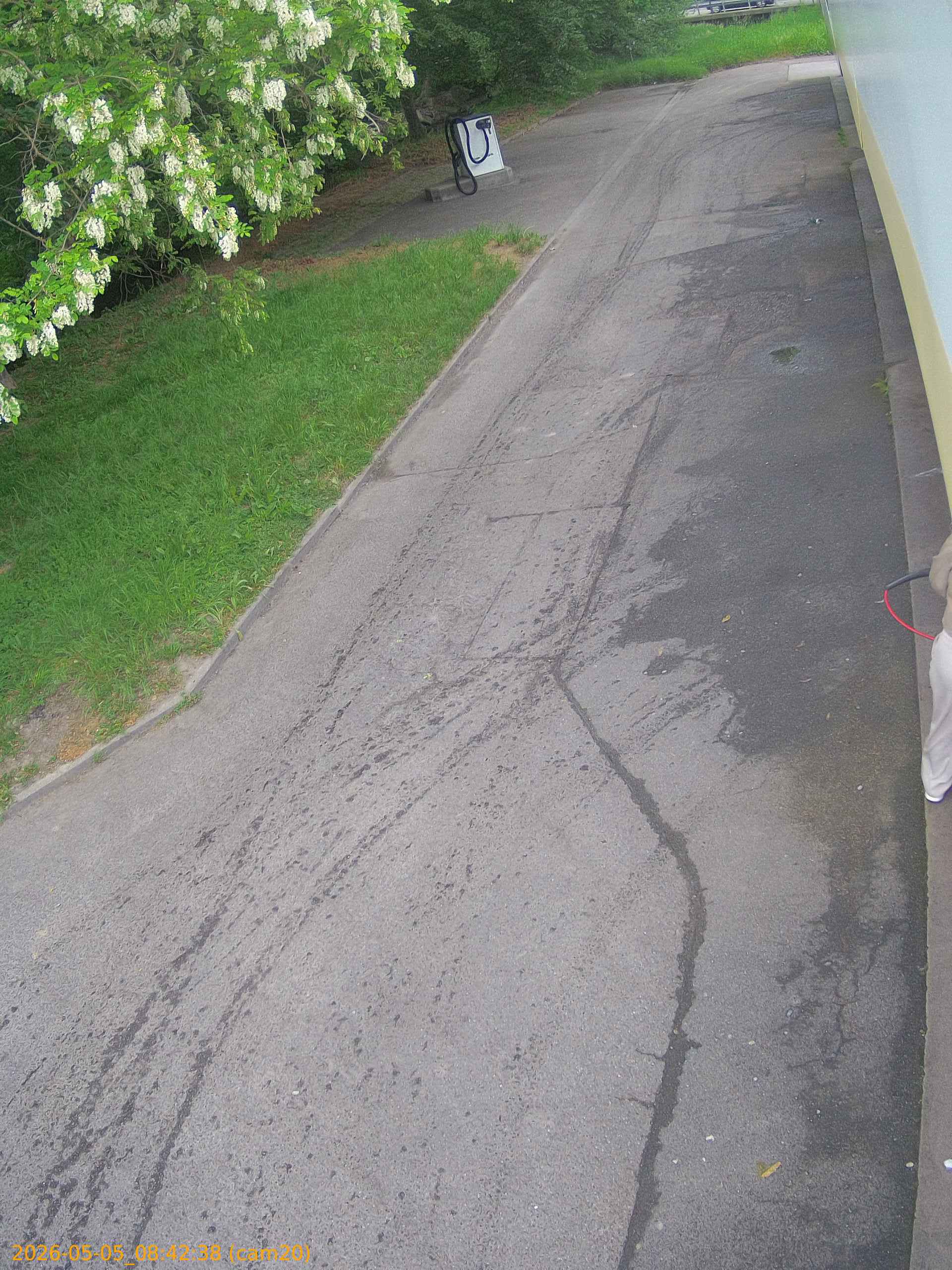 20260505084238