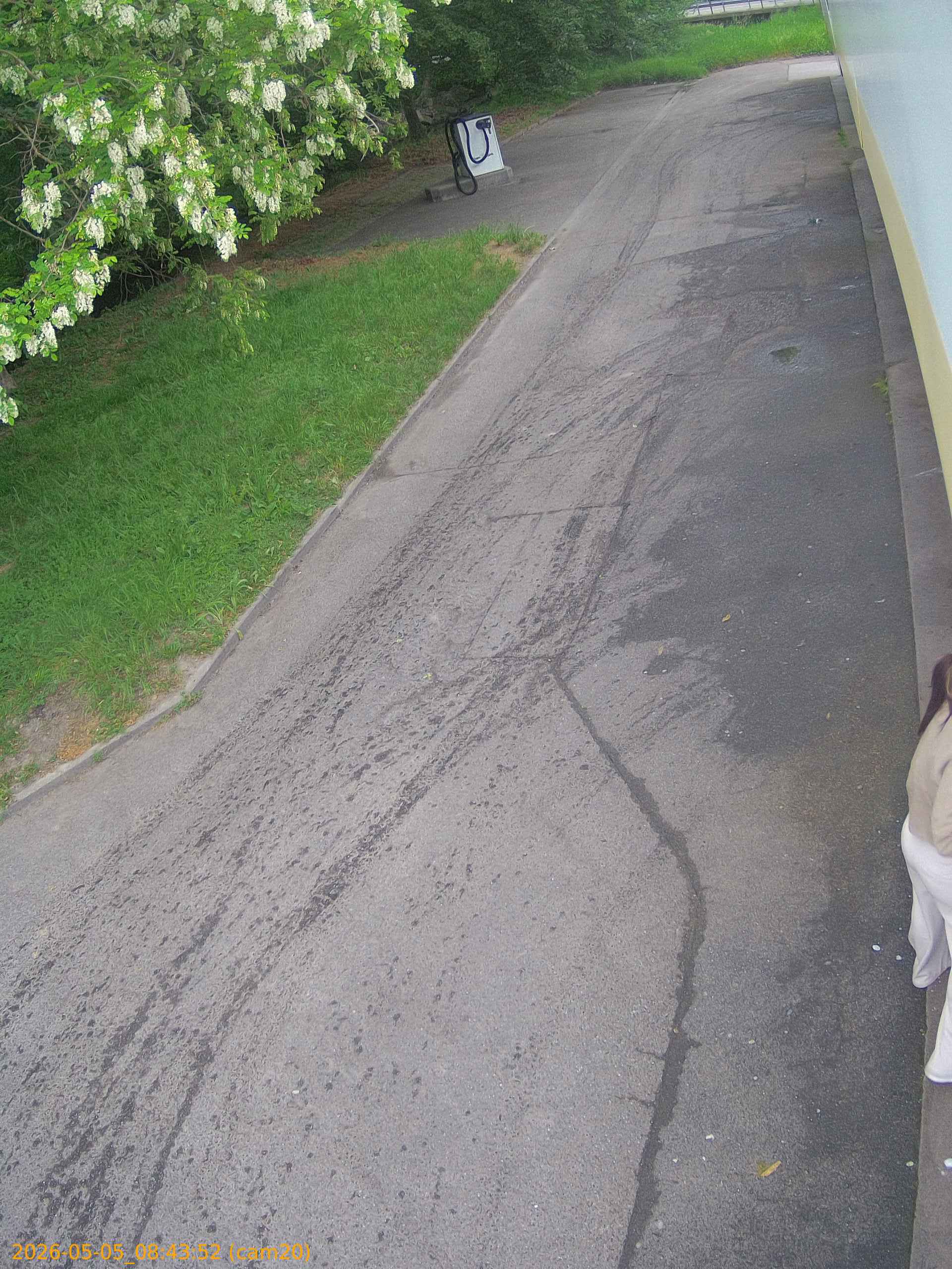 thumbnail_20260505084352
