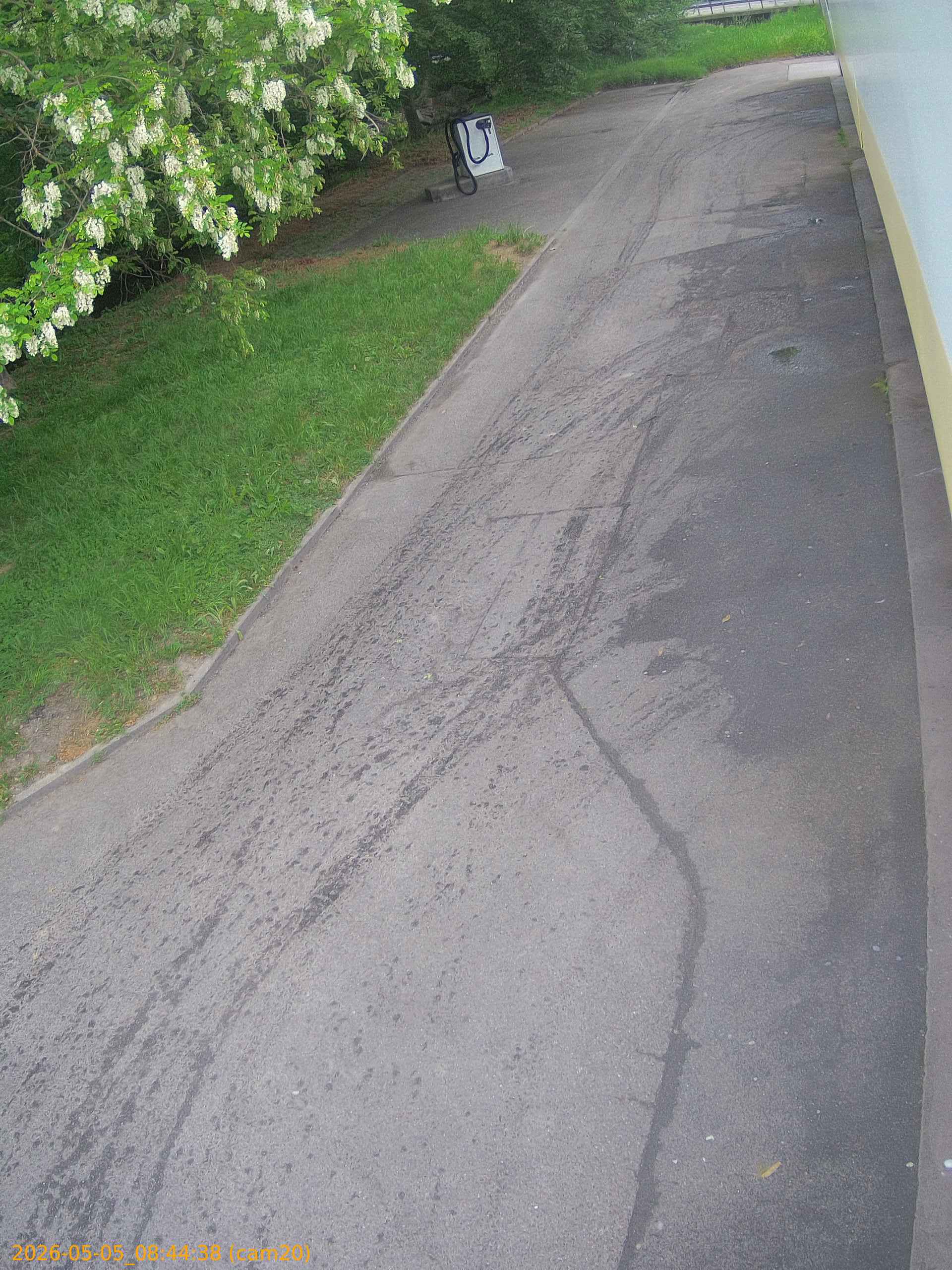20260505084438
