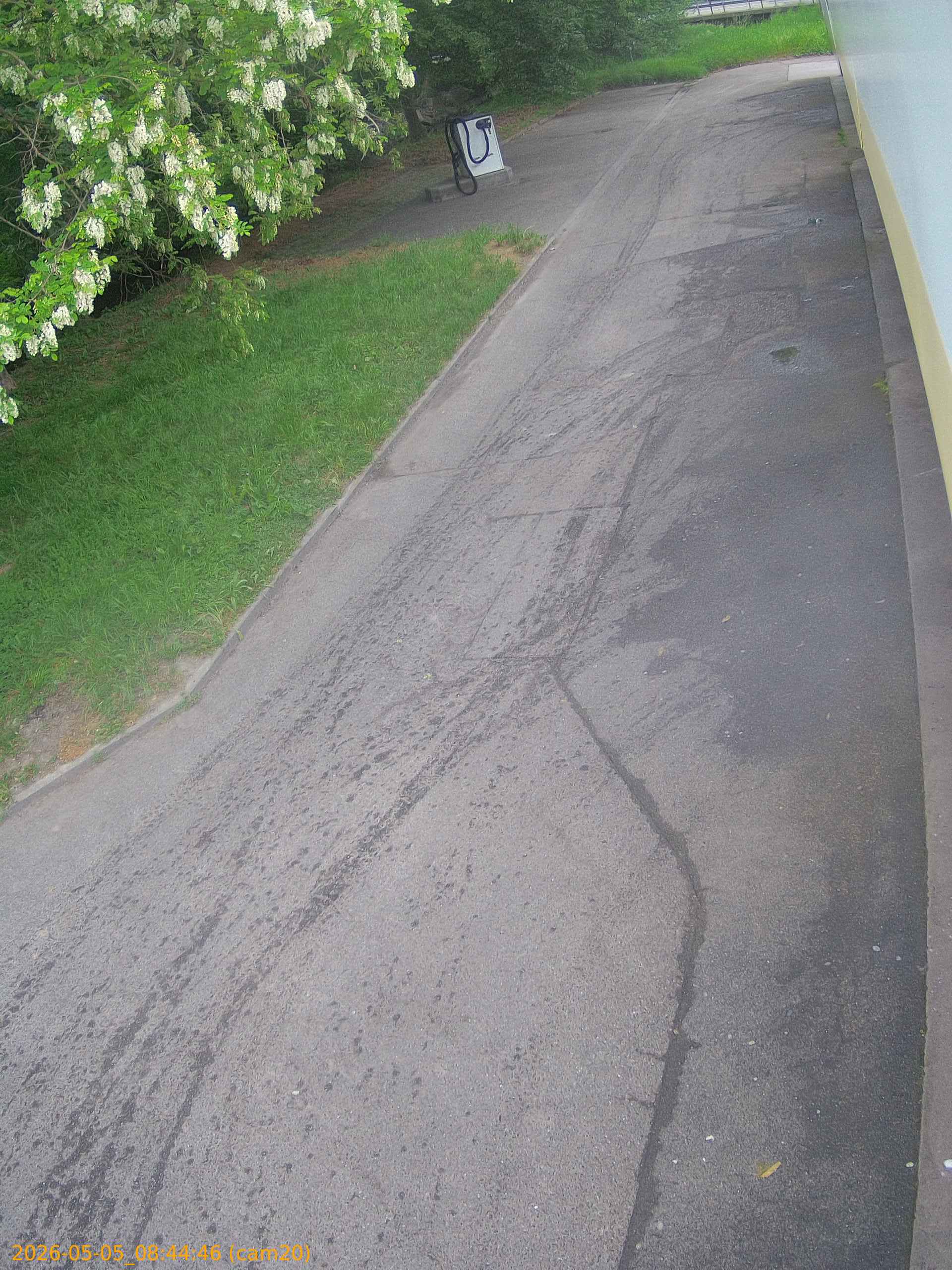 thumbnail_20260505084446