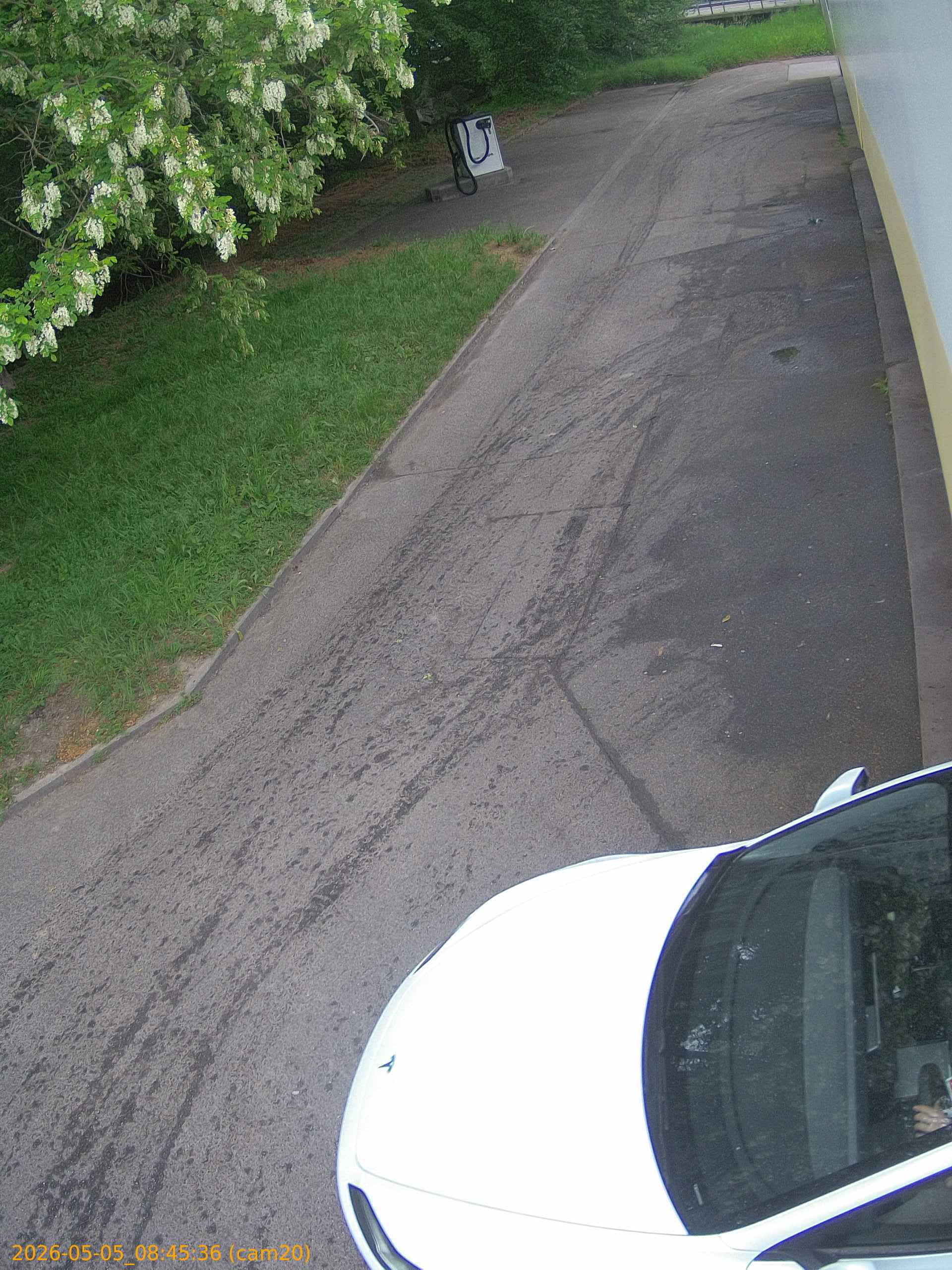 thumbnail_20260505084536