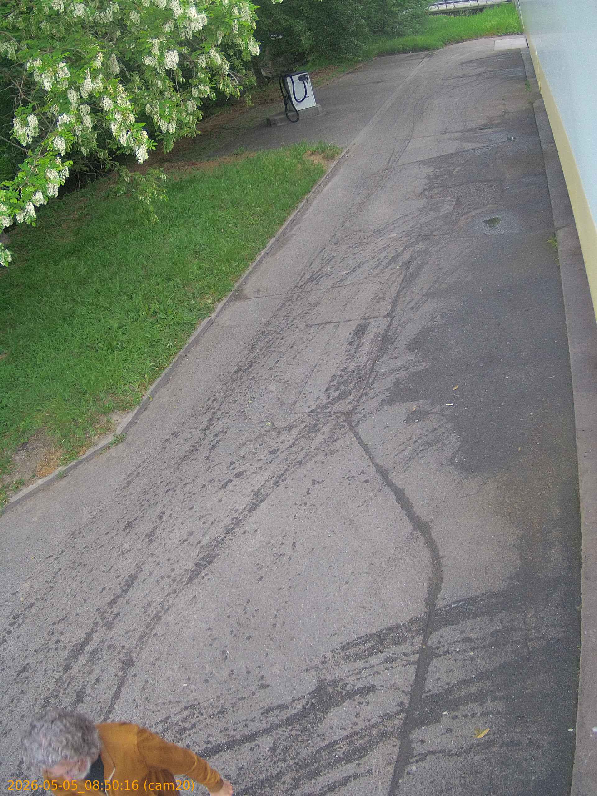 thumbnail_20260505085016