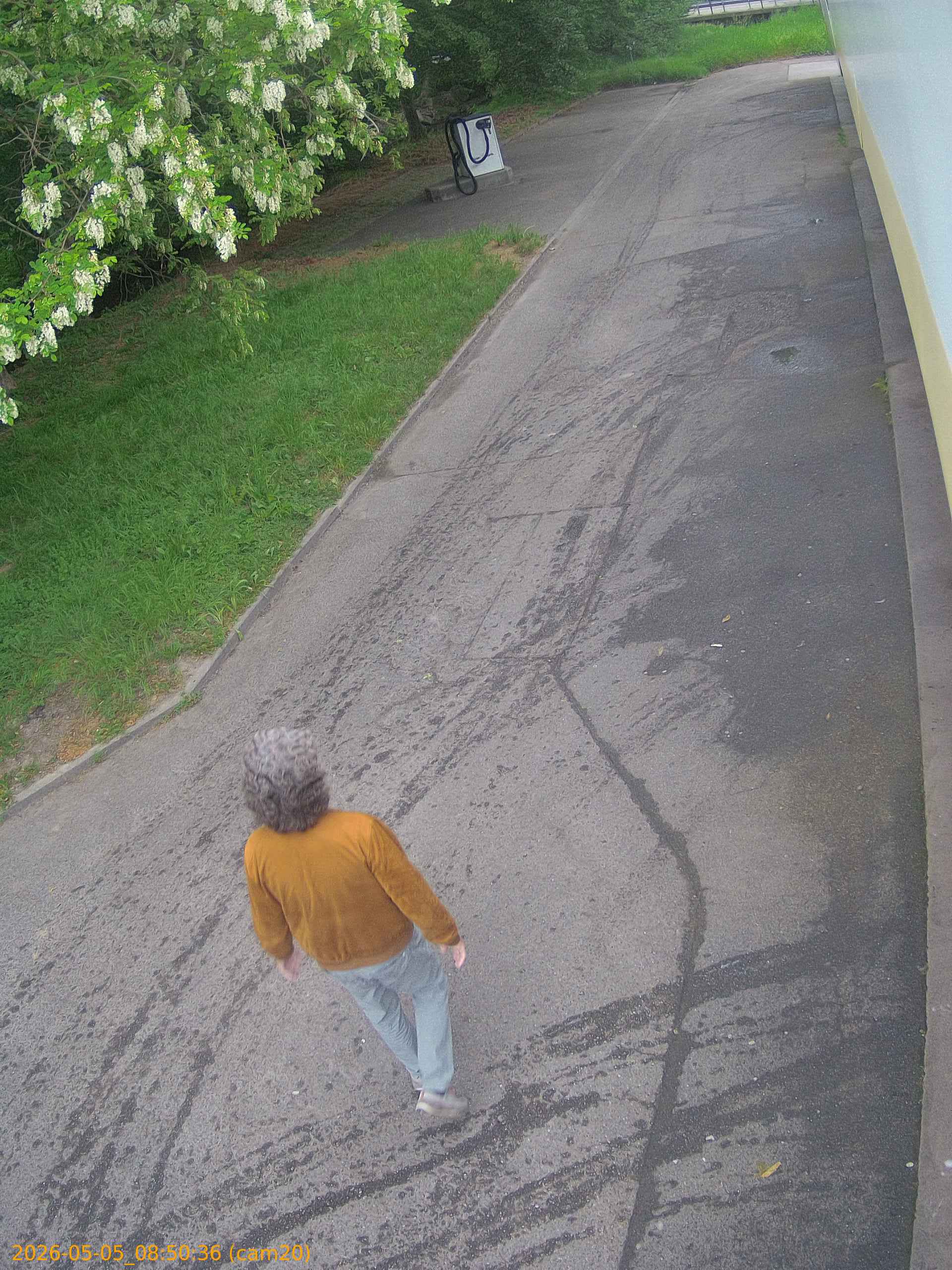 thumbnail_20260505085036