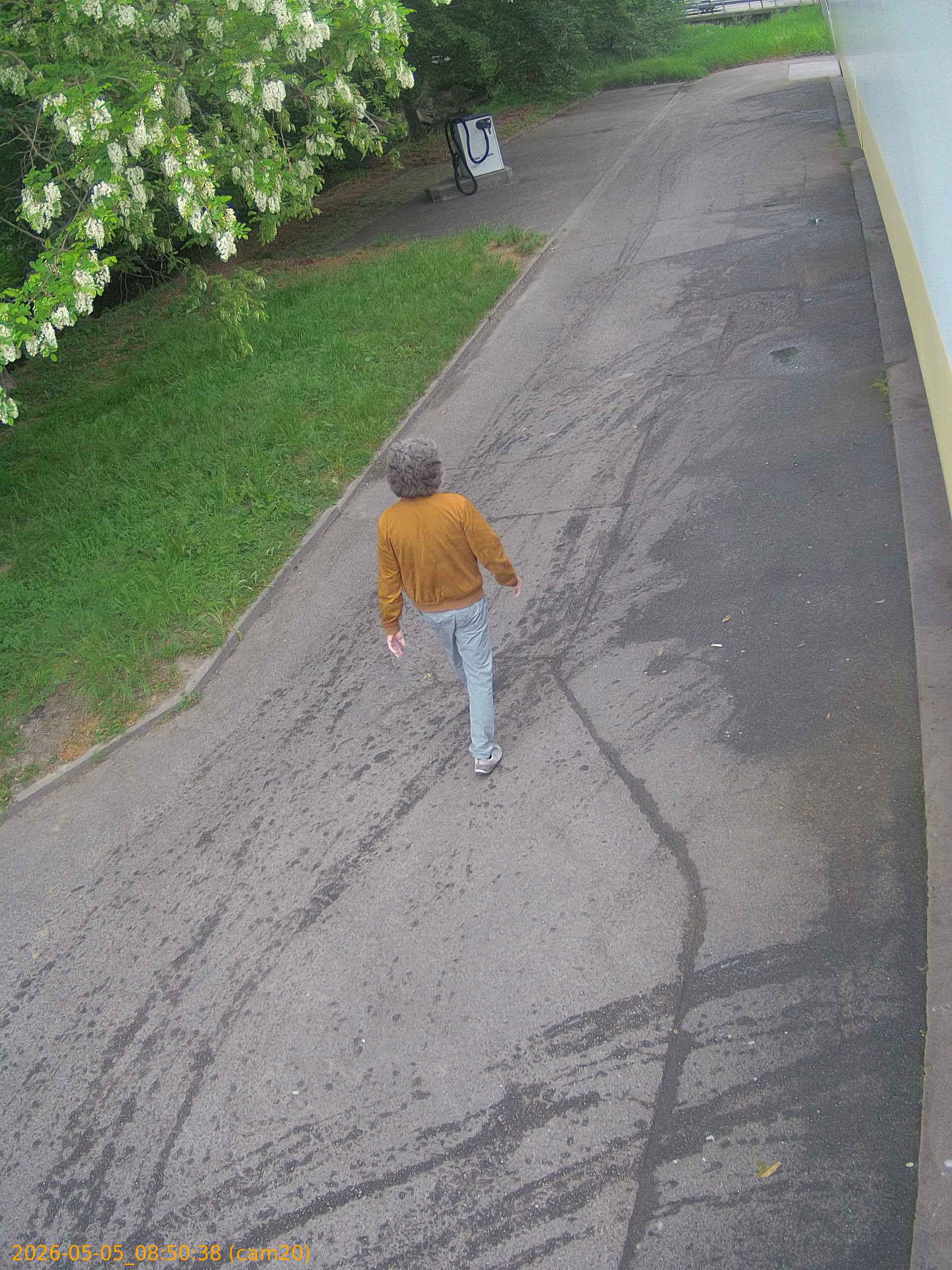 thumbnail_20260505085038
