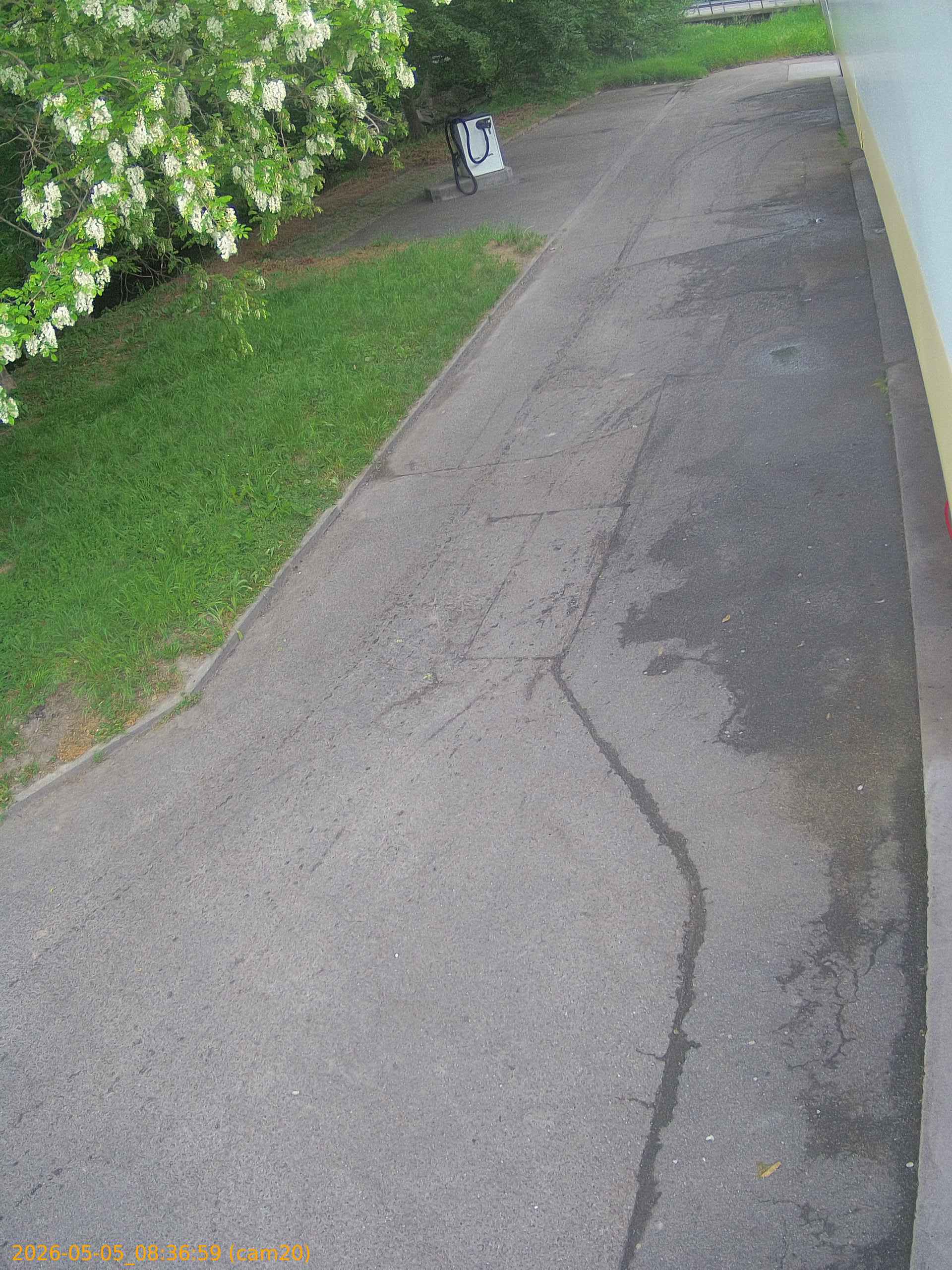 thumbnail_202605050836