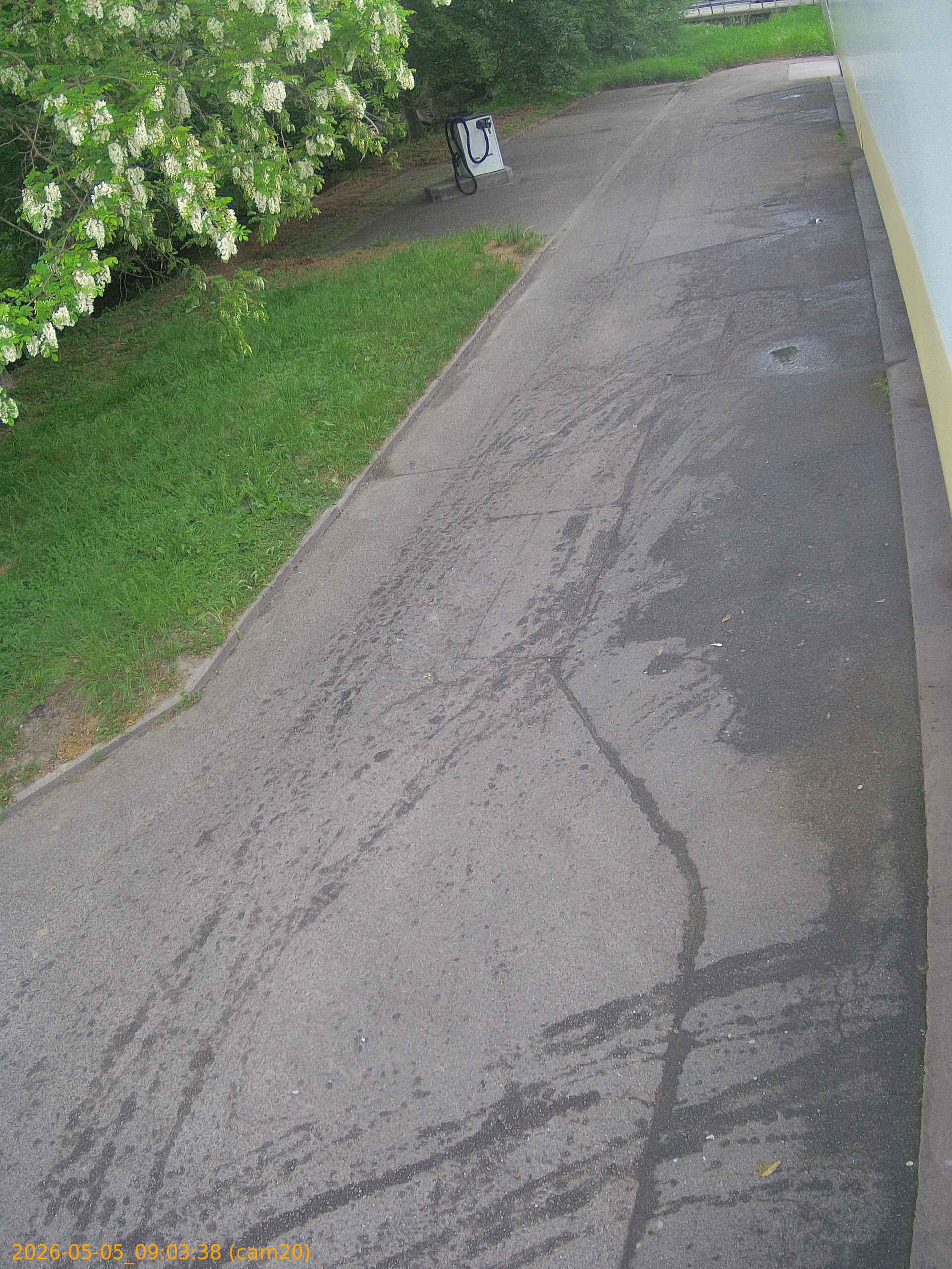 thumbnail_20260505090338