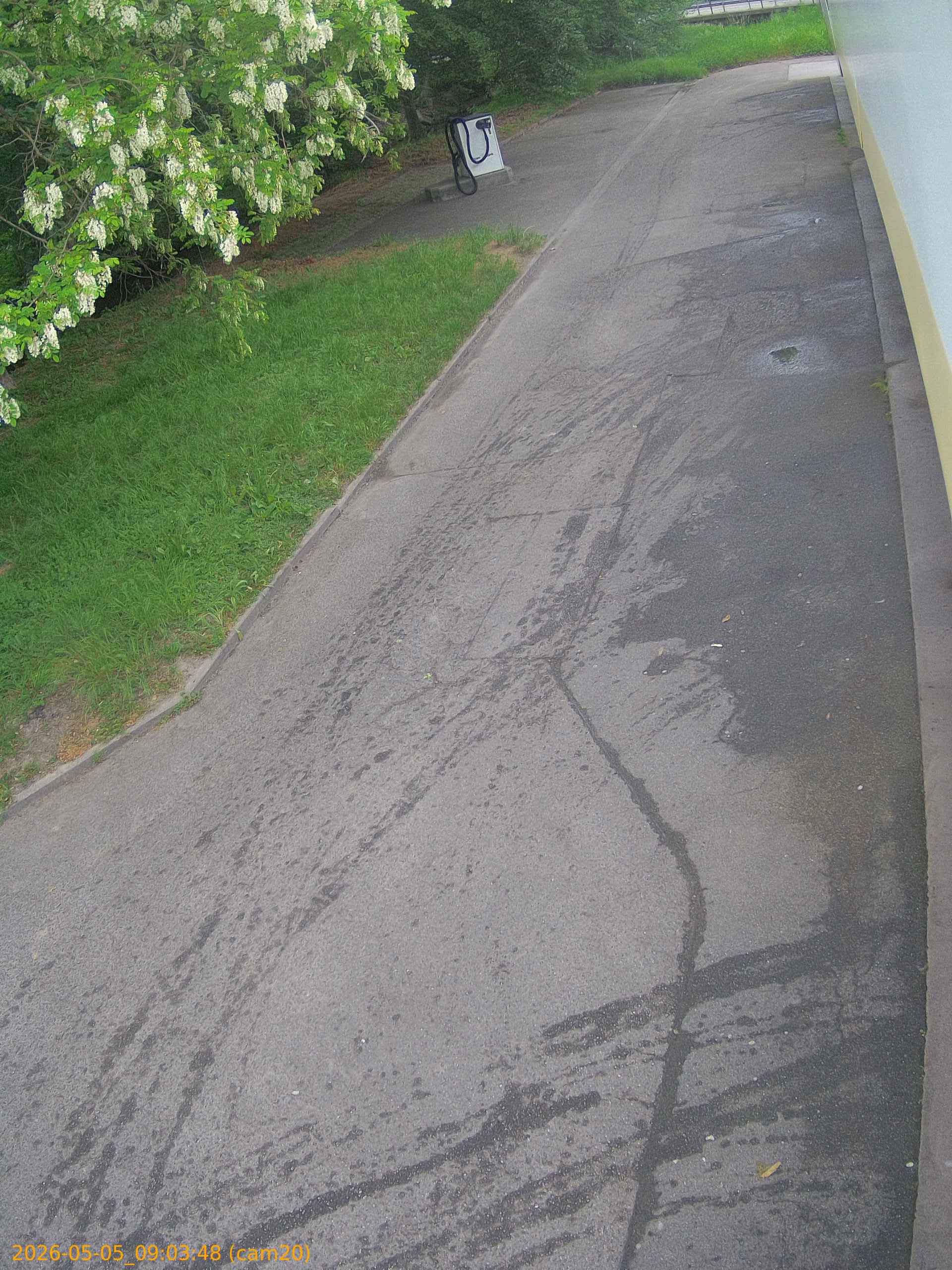 thumbnail_20260505090348