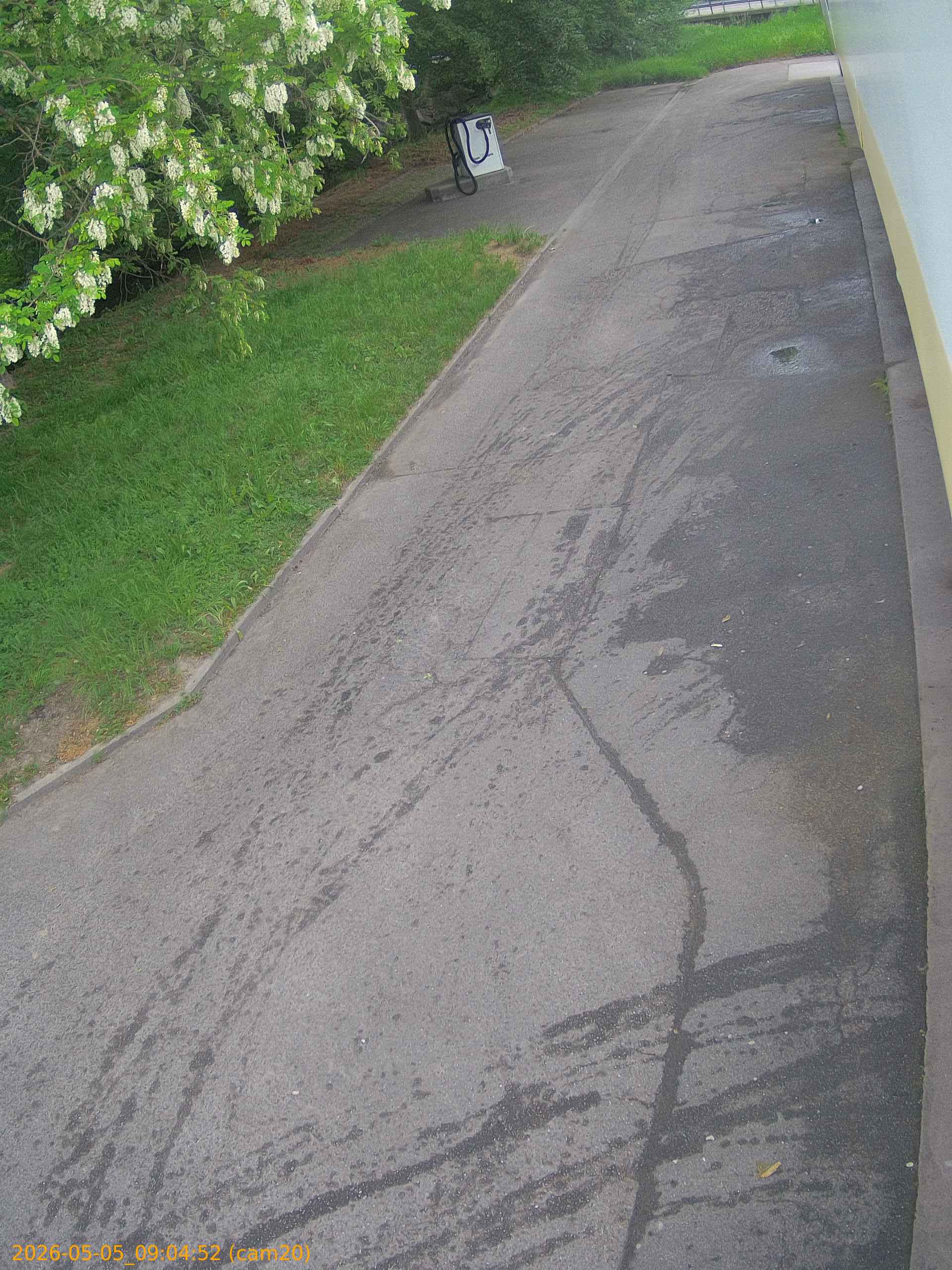 thumbnail_20260505090452