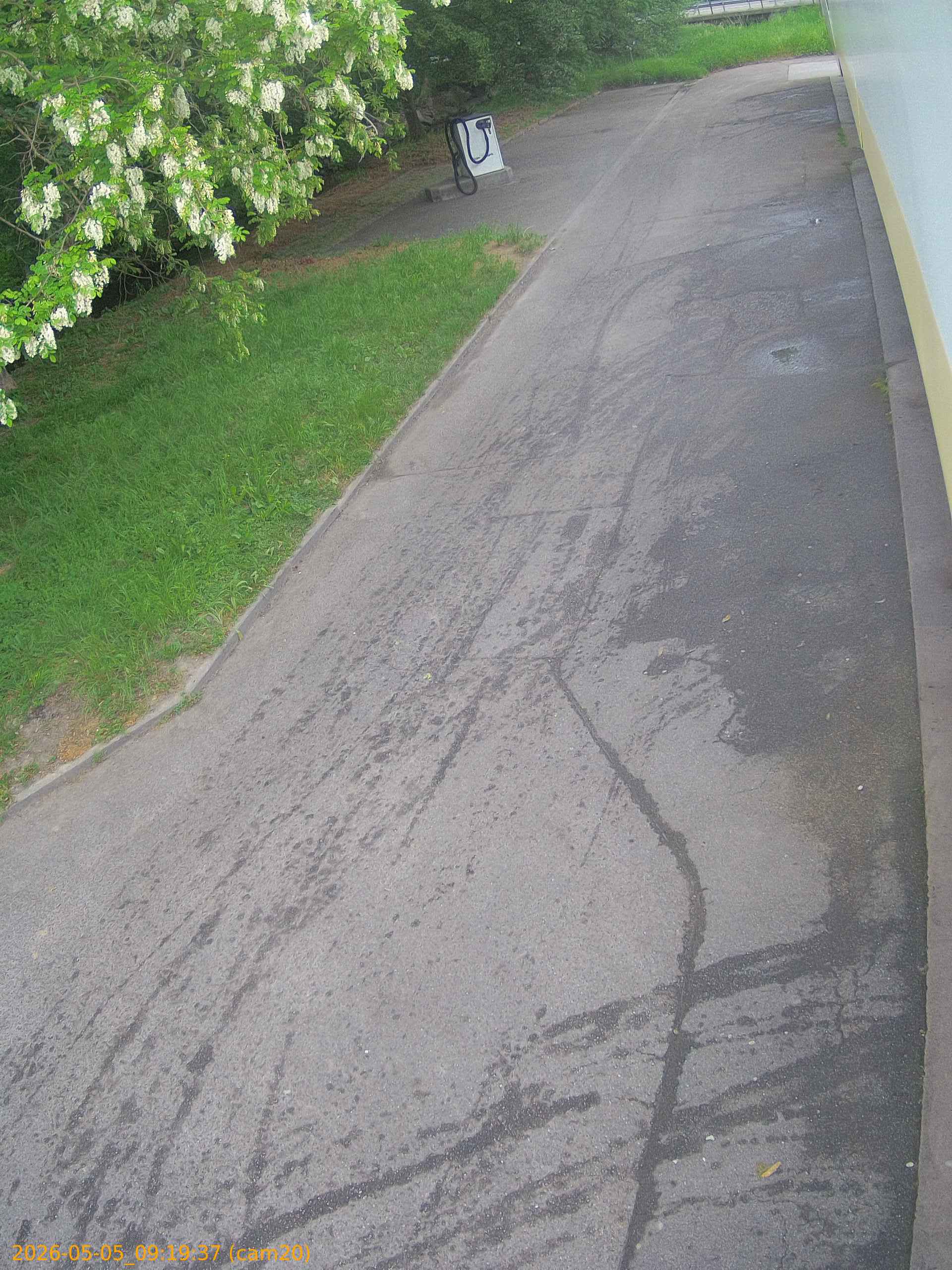 20260505091937